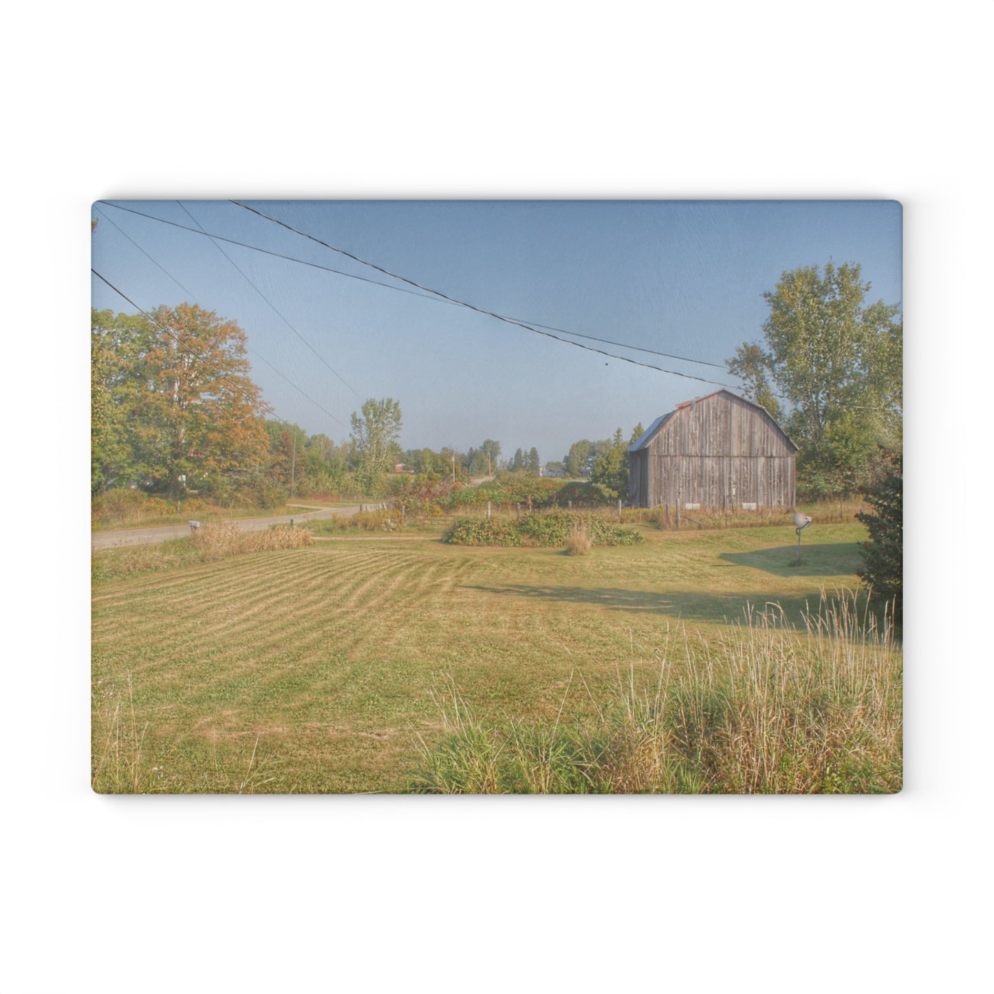 U R There Photography Snover Grey II Rustic Farmhouse Tempered-Glass Cutting Board