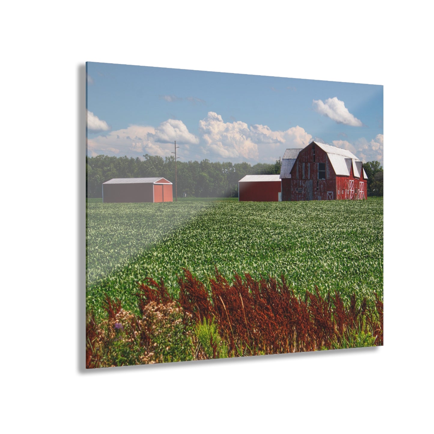 U R There Photography South Gera Road Red Rustic Farmhouse Acrylic Wall Print
