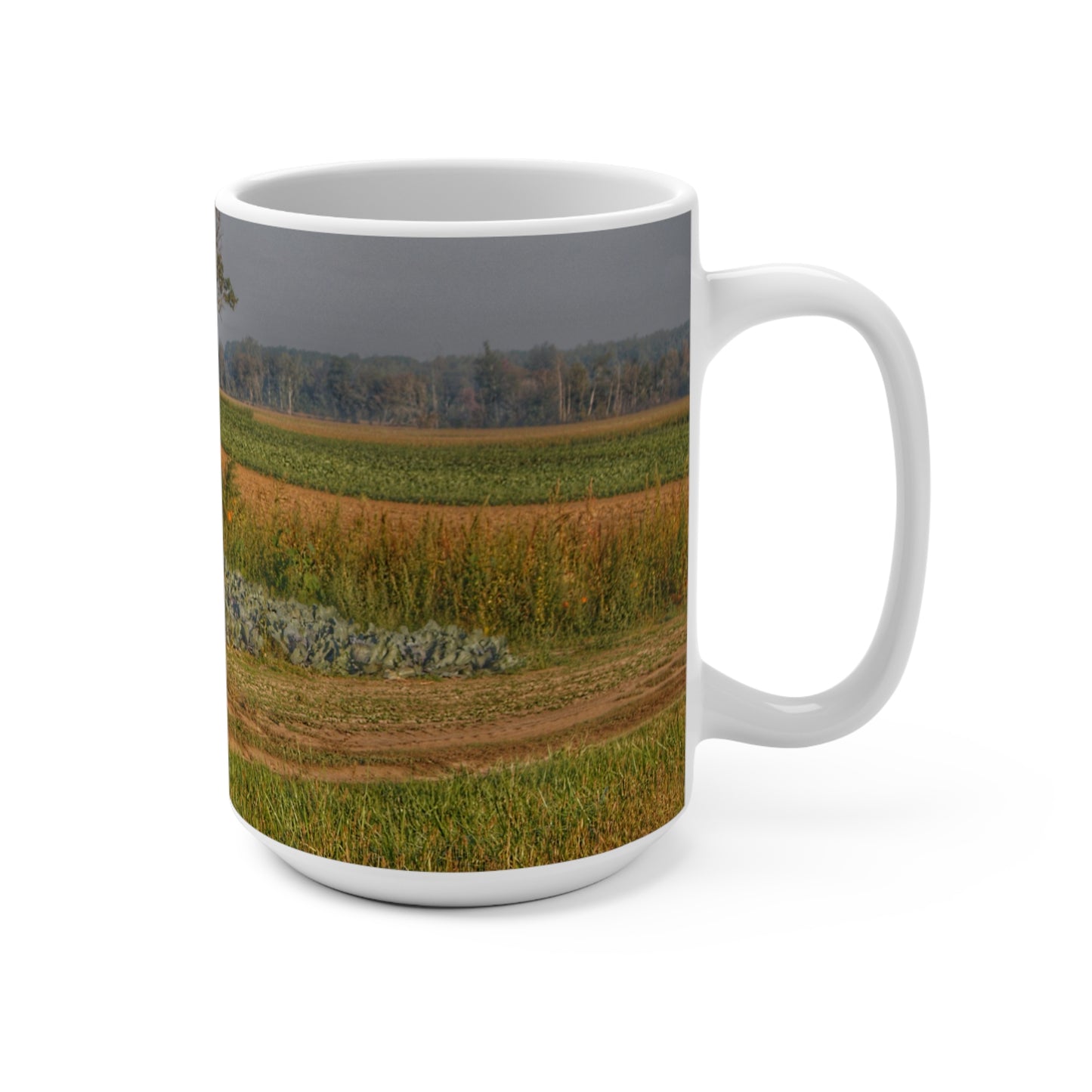 Rustic Farmhouse Coffee Mug featuring Cabbage and Pumpkin Patch