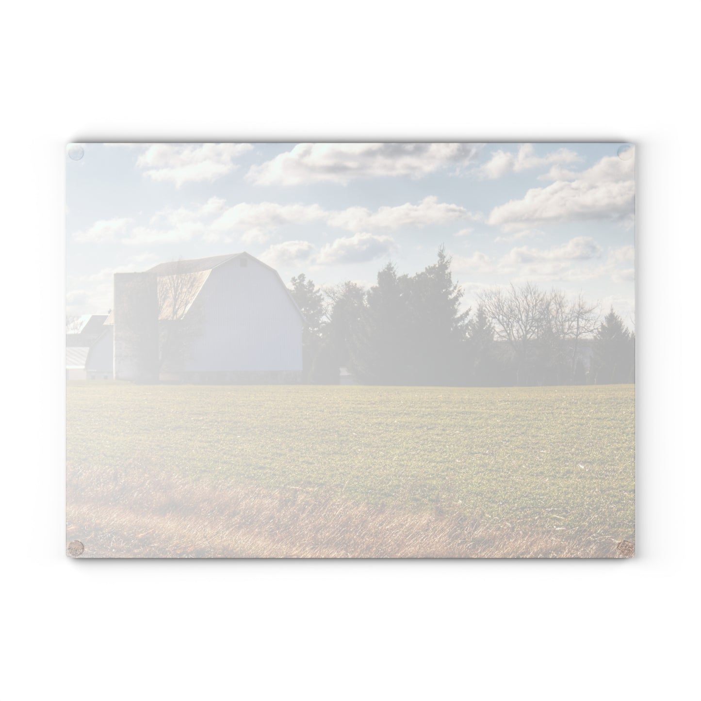 U R There Photography Sandusky White Rustic Farmhouse Tempered-Glass Cutting Board