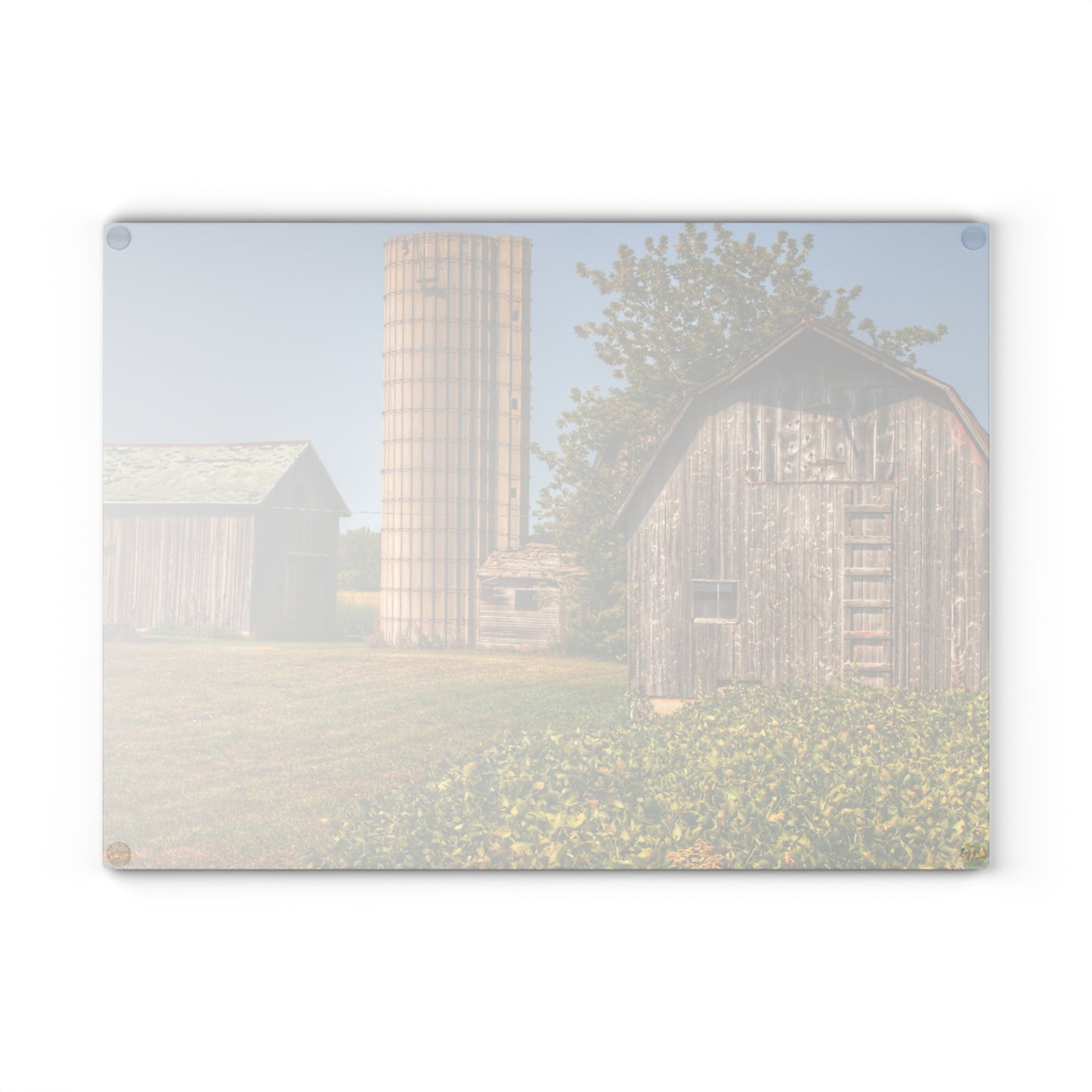 U R There Photography Swaffer Mini Greys and Silos Rustic Farmhouse Tempered-Glass Cutting Board