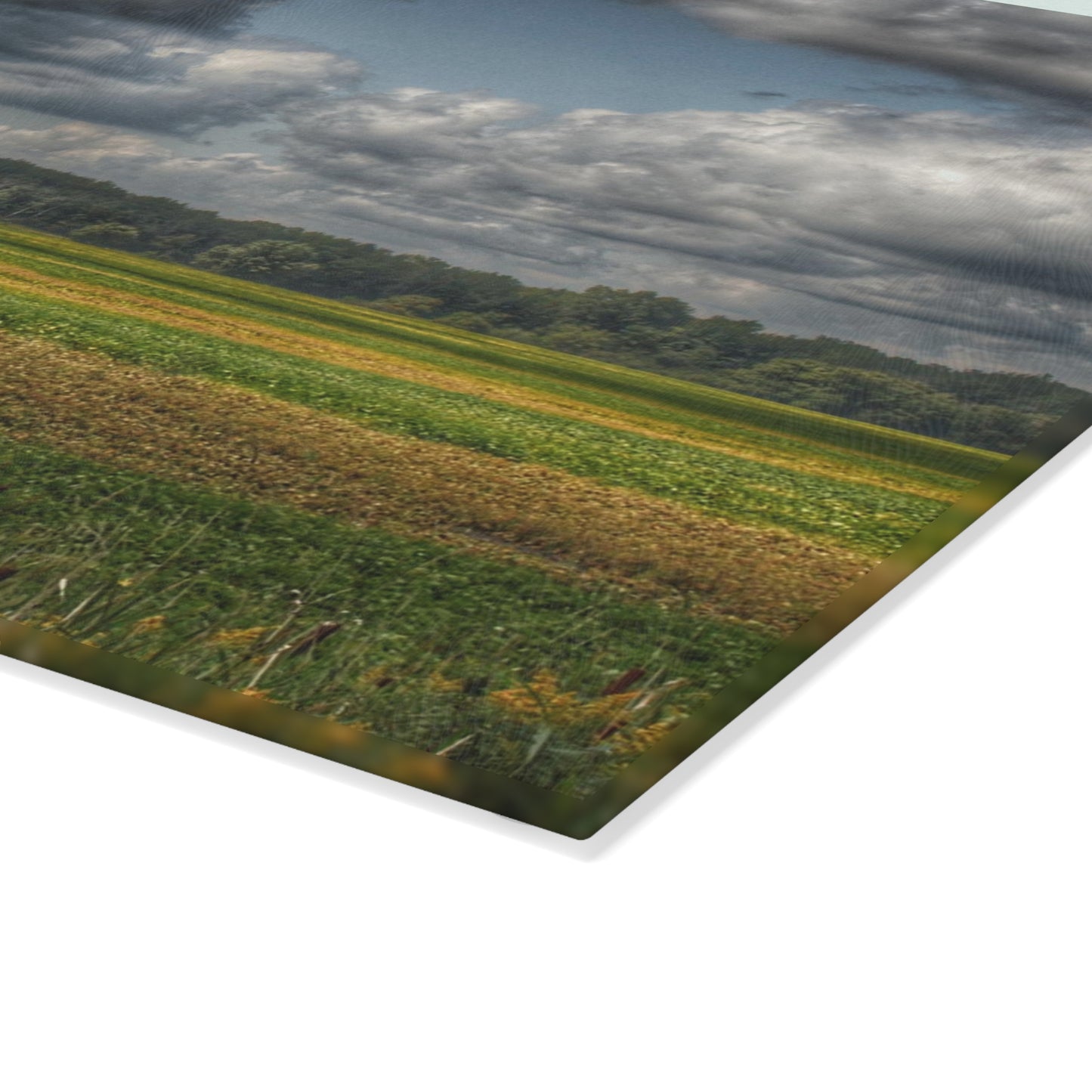 U R There Photography Skies of September Rustic Farmhouse Tempered-Glass Cutting Board