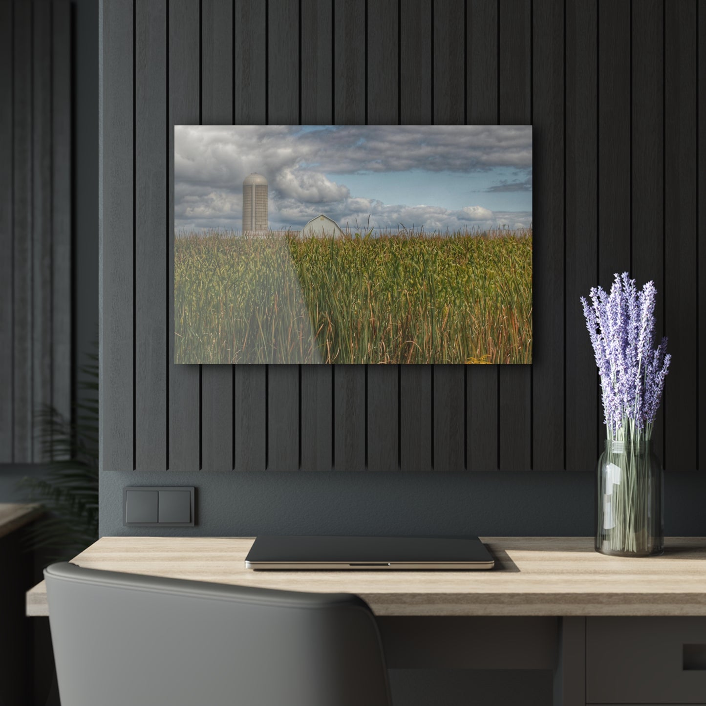U R There Photography White Barn Overlooking Cornfield Rustic Farmhouse Acrylic Wall Print