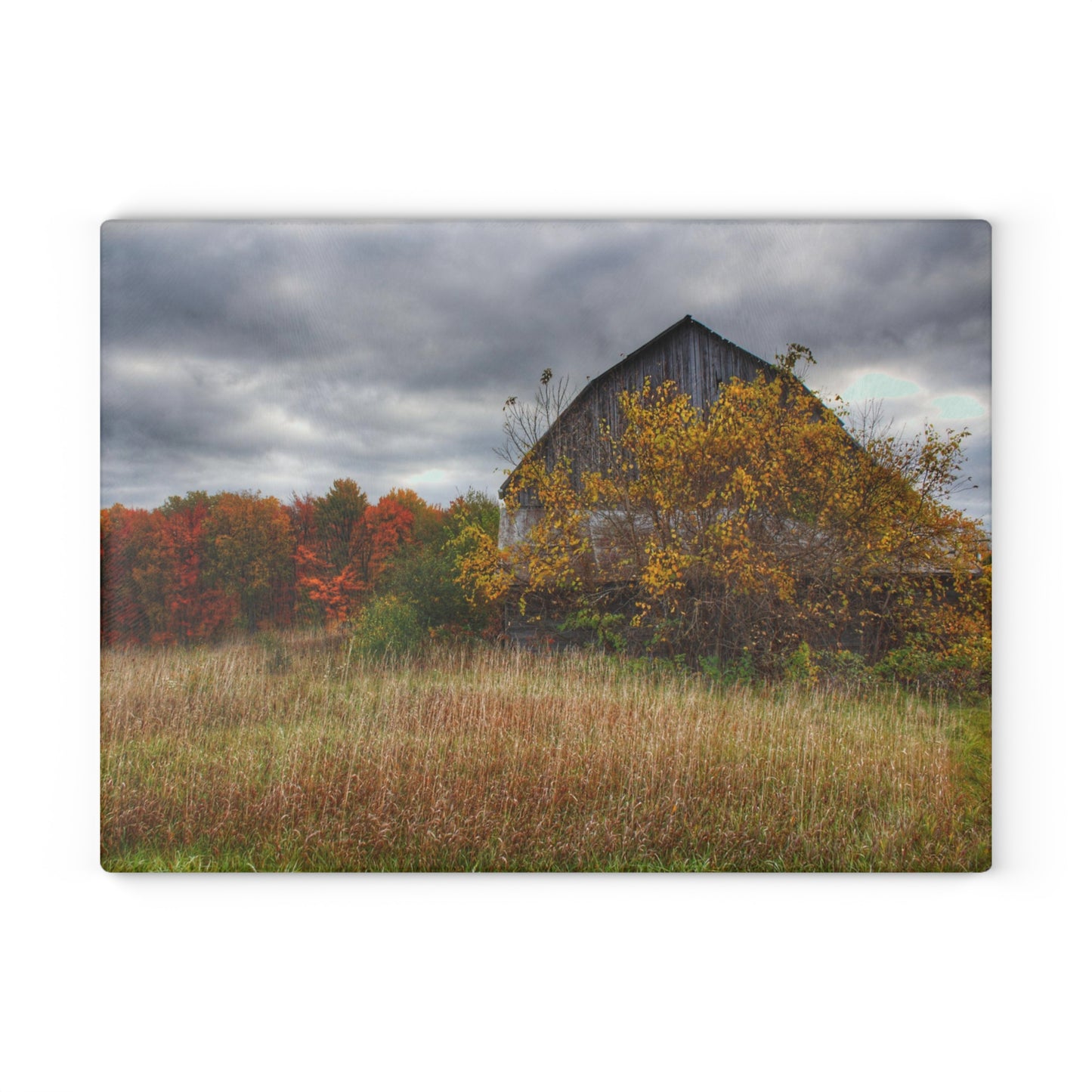 U R There Photography Church Road Grey III Rustic Farmhouse Tempered-Glass Cutting Board