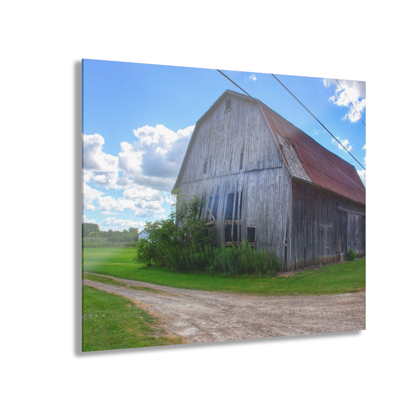 U R There Photography Schoenherr Road Grey I Rustic Farmhouse Acrylic Wall Print