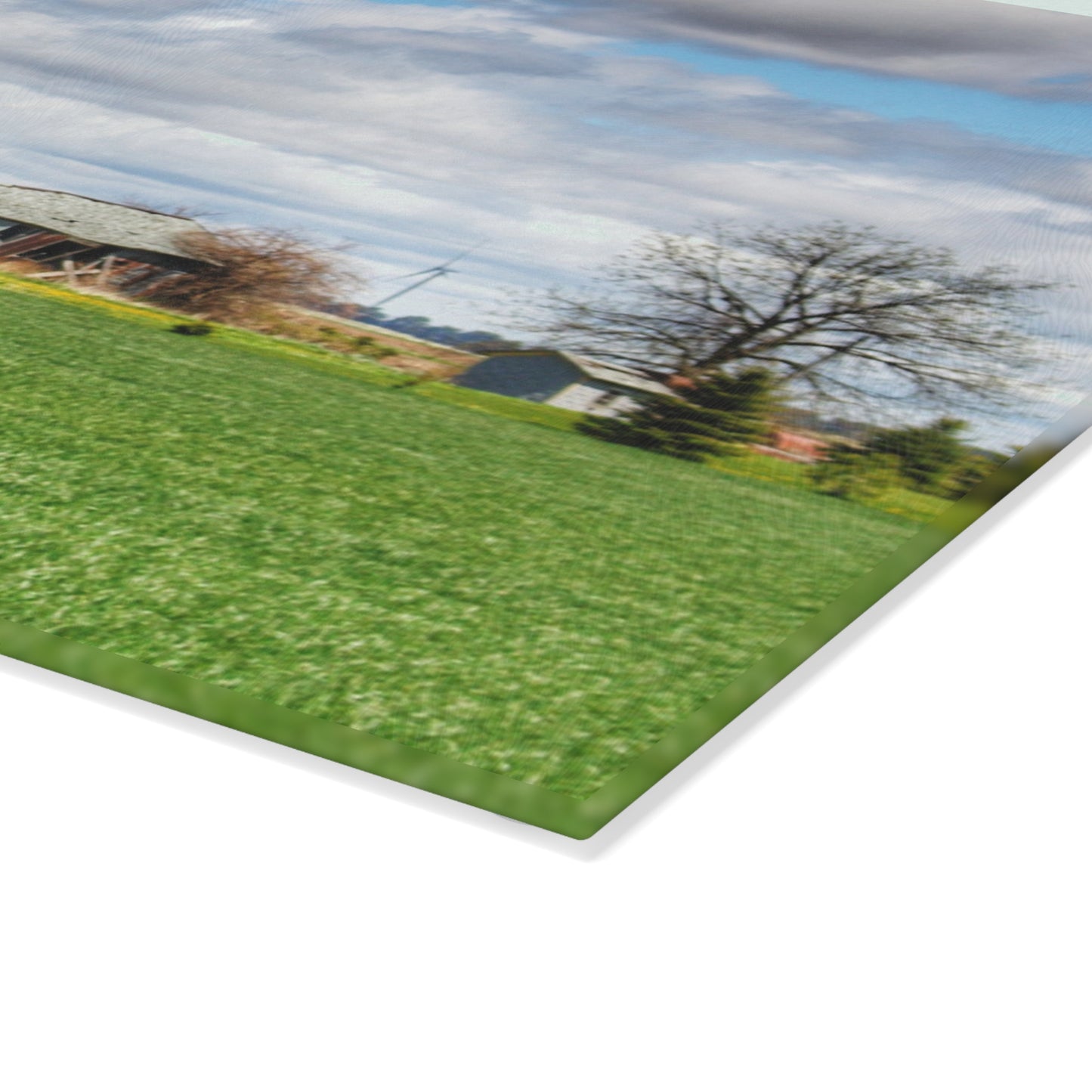 U R There Photography Rescue Road Rusted Shack Rustic Farmhouse Tempered-Glass Cutting Board