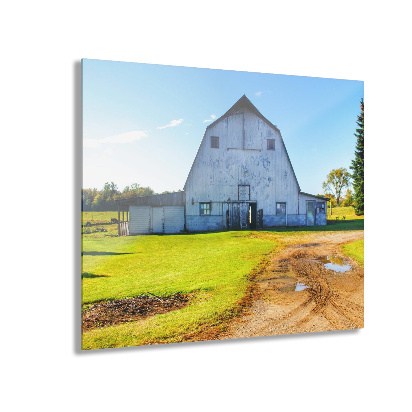 U R There Photography Yale Fremont Road Grey Rustic Farmhouse Acrylic Wall Print
