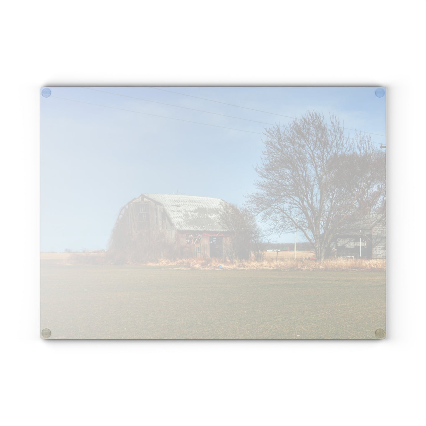 U R There Photography Bay City - Forestville Forgotten Grey Rustic Farmhouse Tempered-Glass Cutting Board