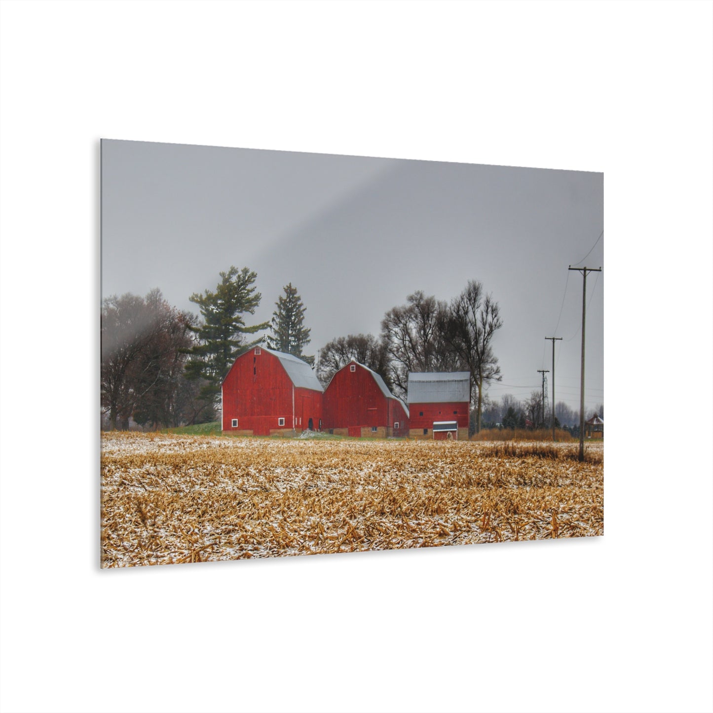 U R There Photography Shoemaker Road Winter Reds II Rustic Farmhouse Acrylic Wall Print