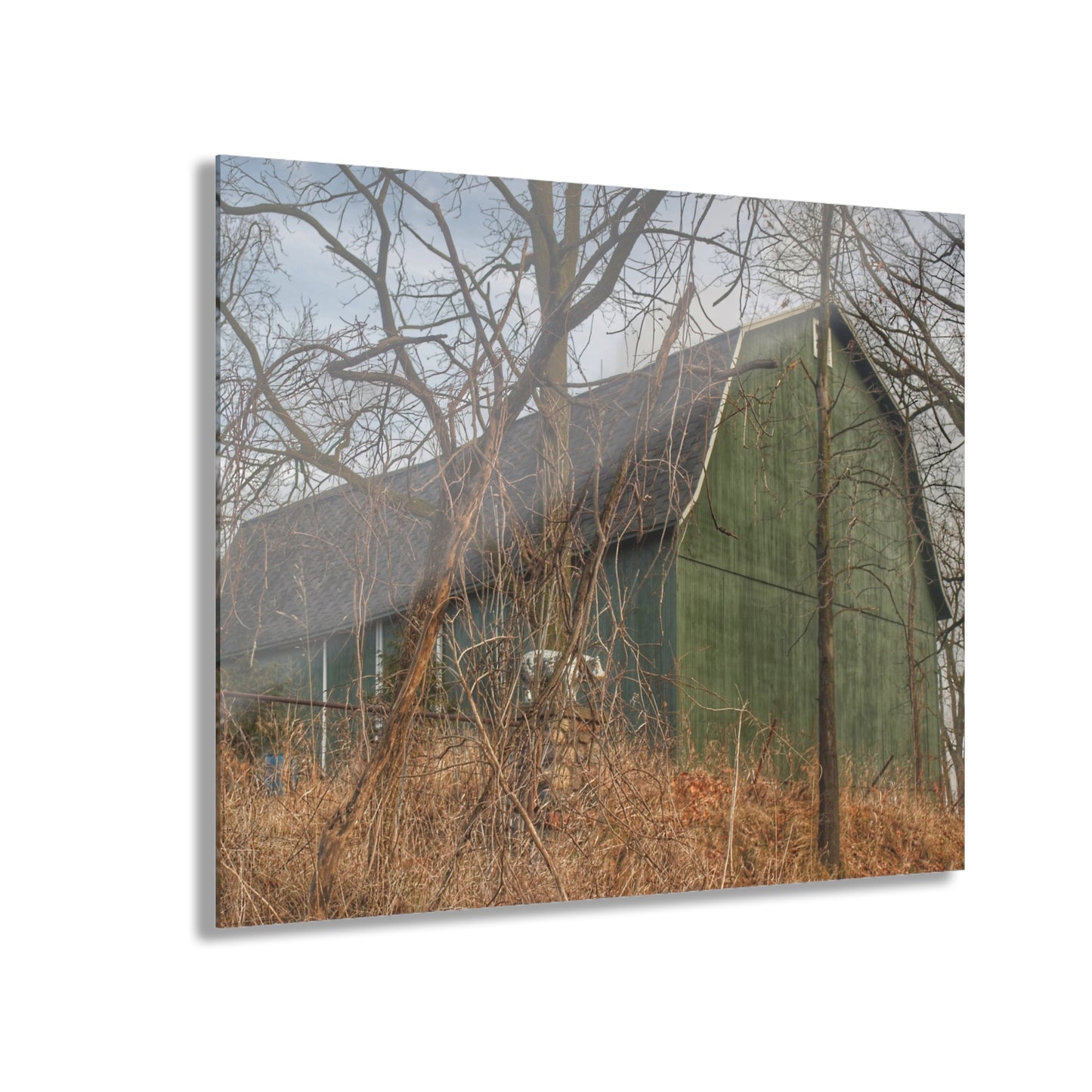 U R There Photography Yale Road Hidden Green Rustic Farmhouse Acrylic Wall Print