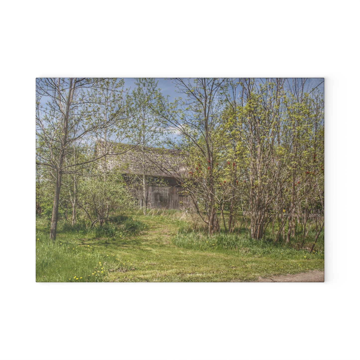 U R There Photography Bishop Road Grey I Rustic Farmhouse Tempered-Glass Cutting Board
