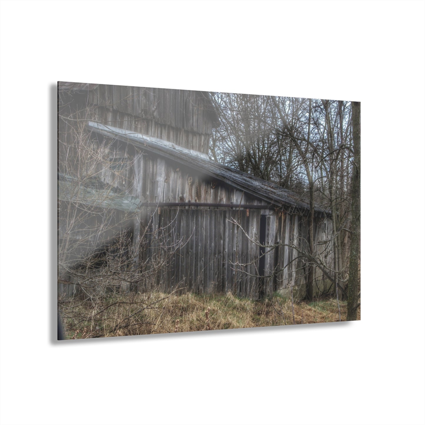 U R There Photography Rural Decay in Early Spring Rustic Farmhouse Acrylic Wall Print