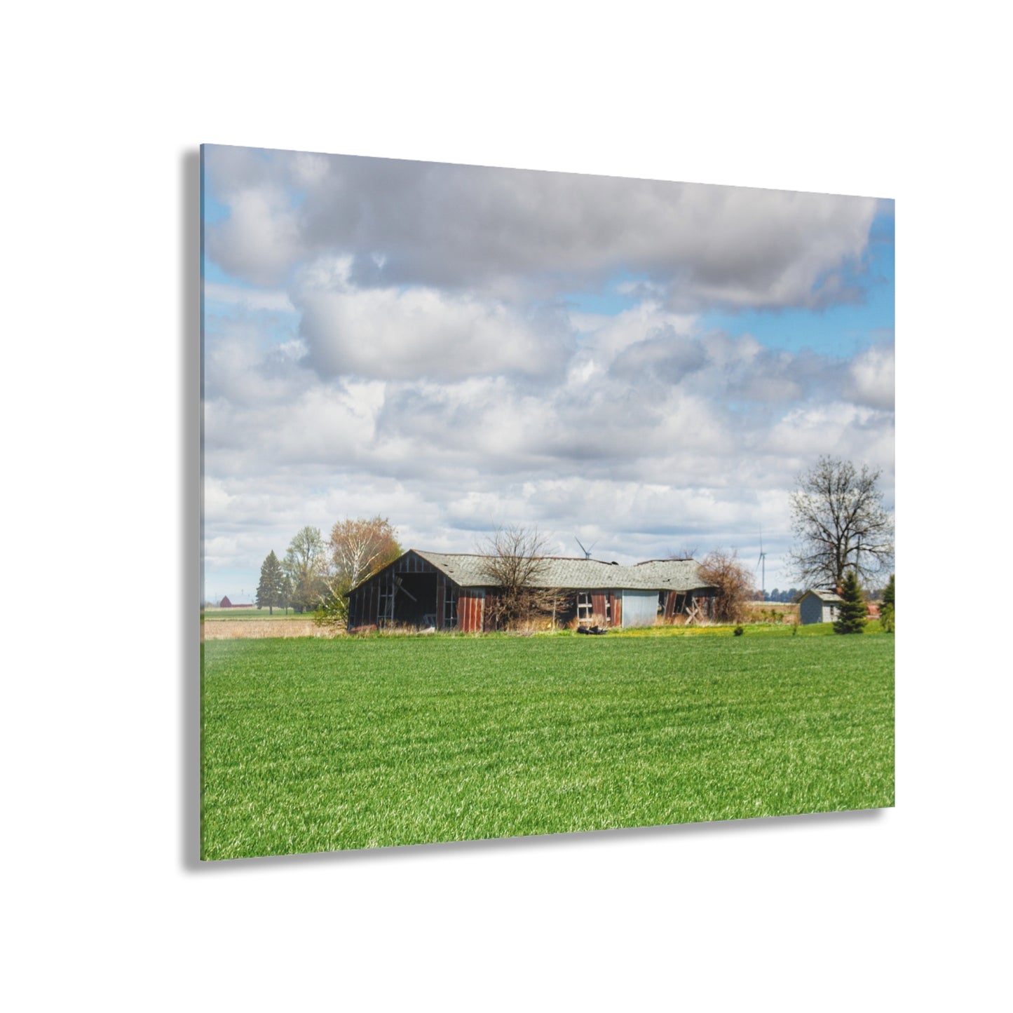 U R There Photography Rescue Road Rusted Shack Rustic Farmhouse Acrylic Wall Print