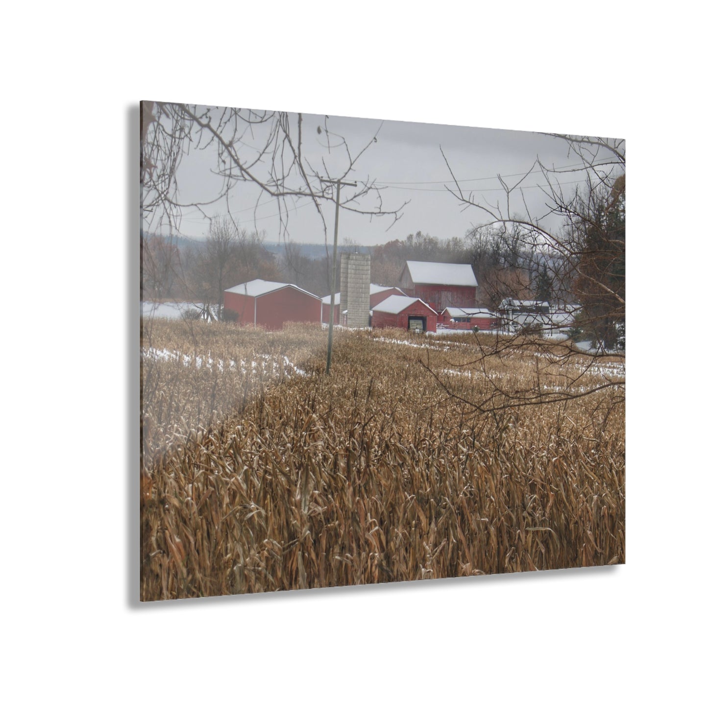 U R There Photography Beyond the Cornfield on Sutton Rustic Farmhouse Acrylic Wall Print