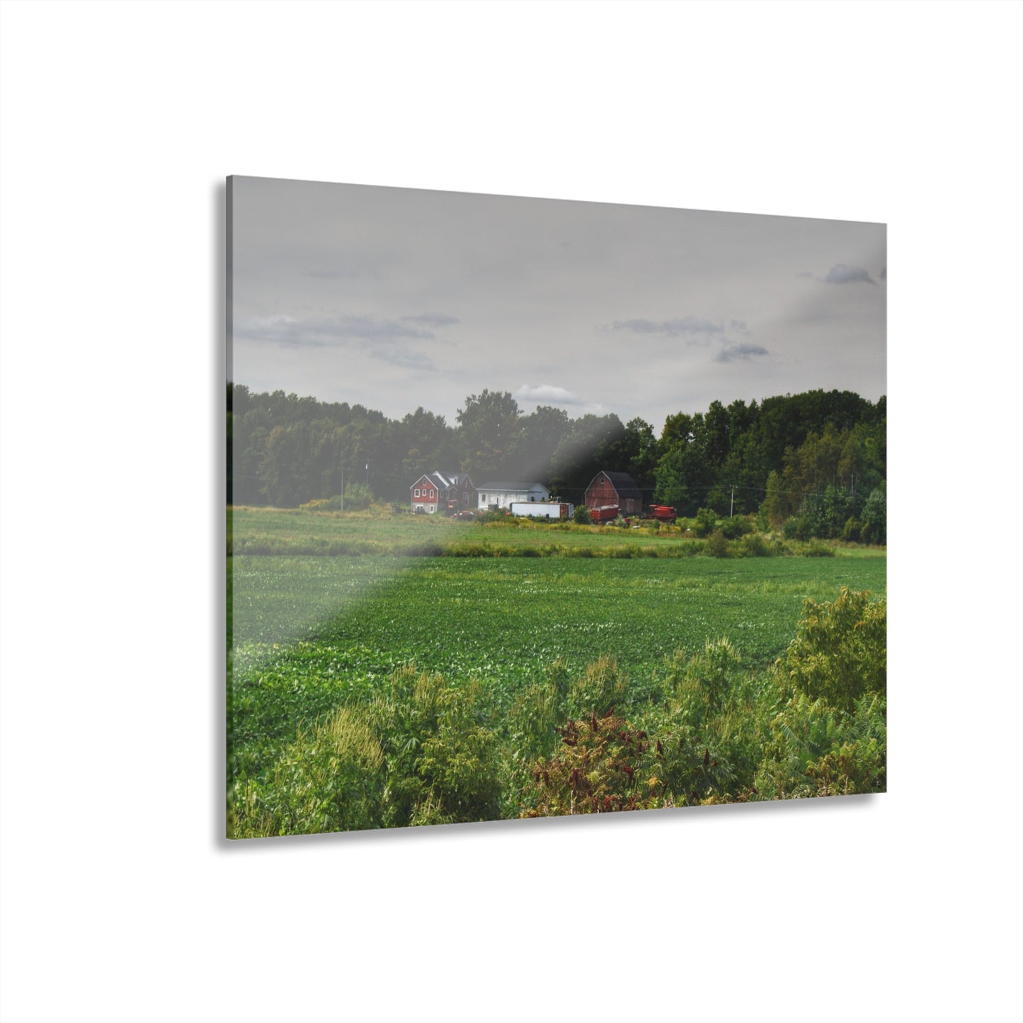 Rustic Farmhouse Wall Print Featuring Across the Field in Silverwood