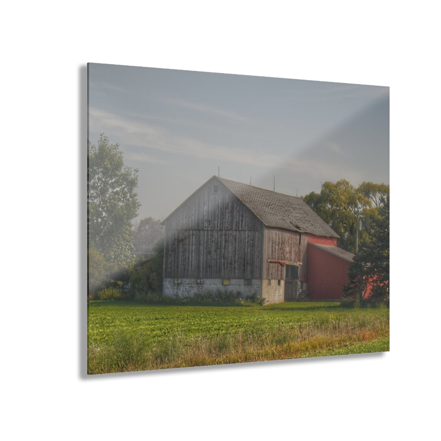 U R There Photography Pigeon Grey Saltbox Rustic Farmhouse Acrylic Wall Print