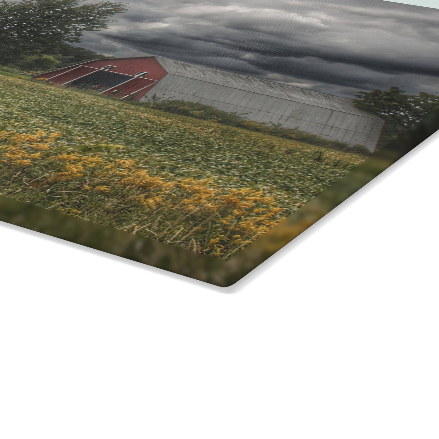 U R There Photography Pinstripe Barn and Buddy II Rustic Farmhouse Tempered-Glass Cutting Board