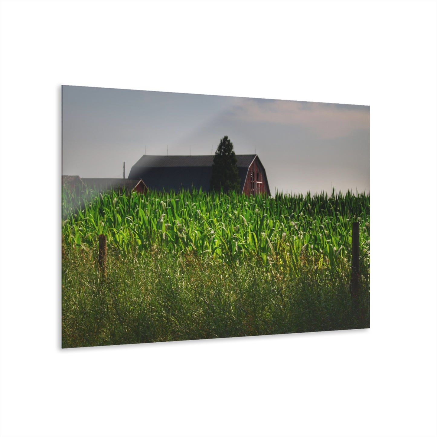 U R There Photography Beyond the Corn in Metamora Rustic Farmhouse Acrylic Wall Print