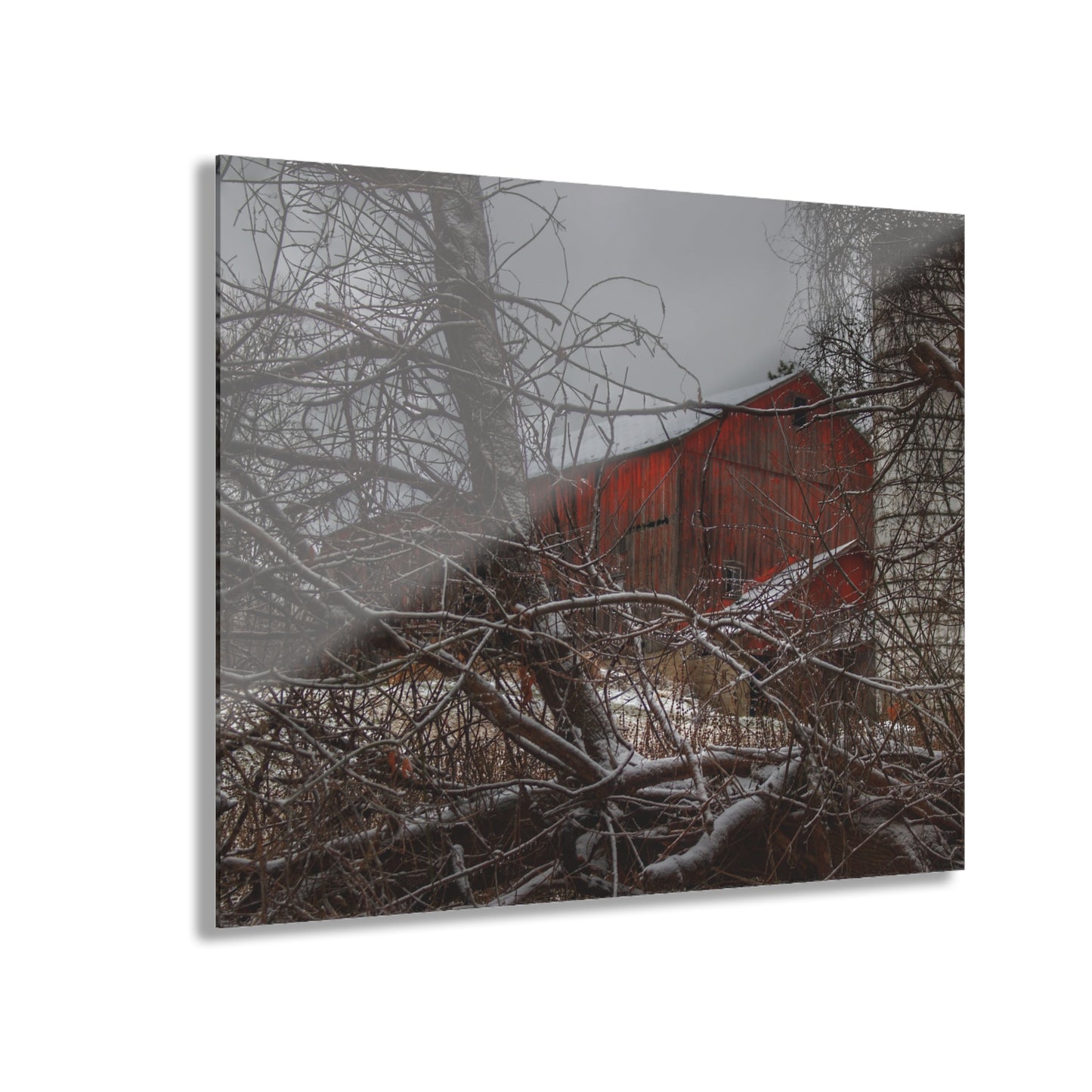U R There Photography Sandhill Road Hidden Red II Rustic Farmhouse Acrylic Wall Print