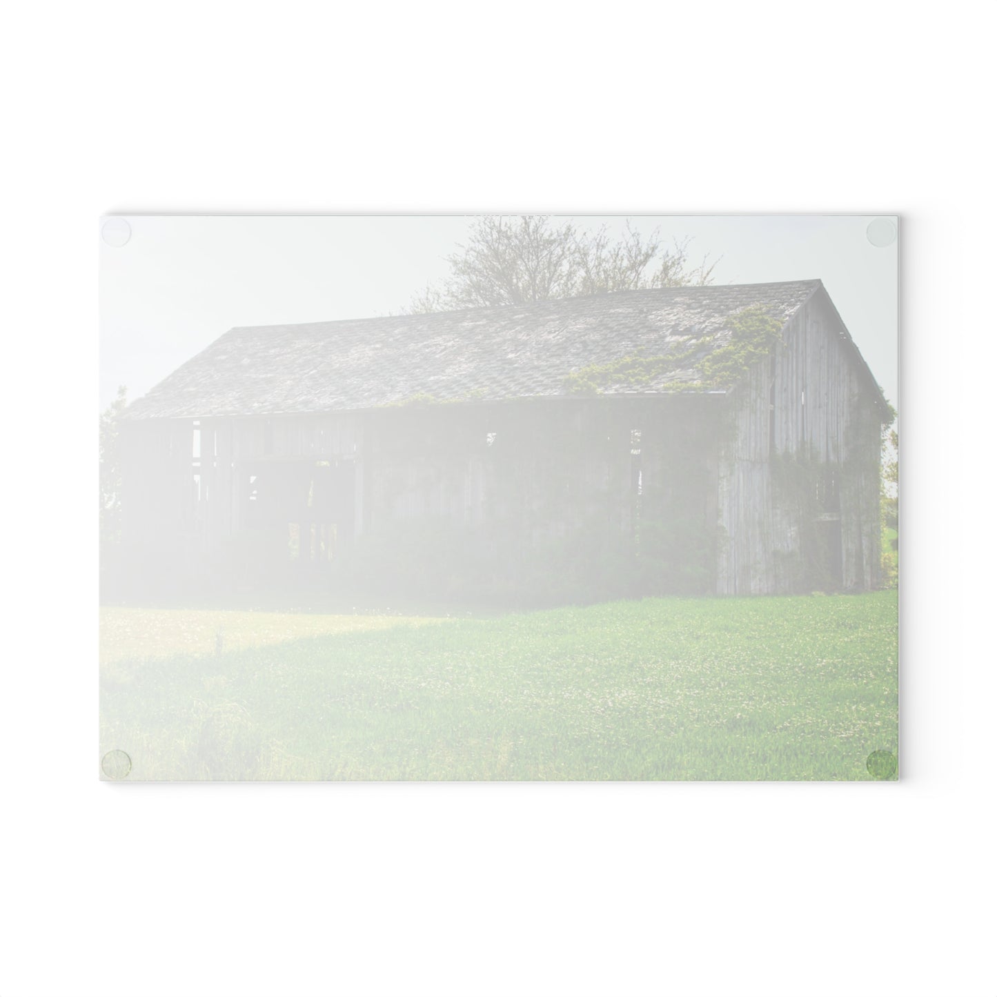 U R There Photography Caro Road Twin Grey II Rustic Farmhouse Tempered-Glass Cutting Board