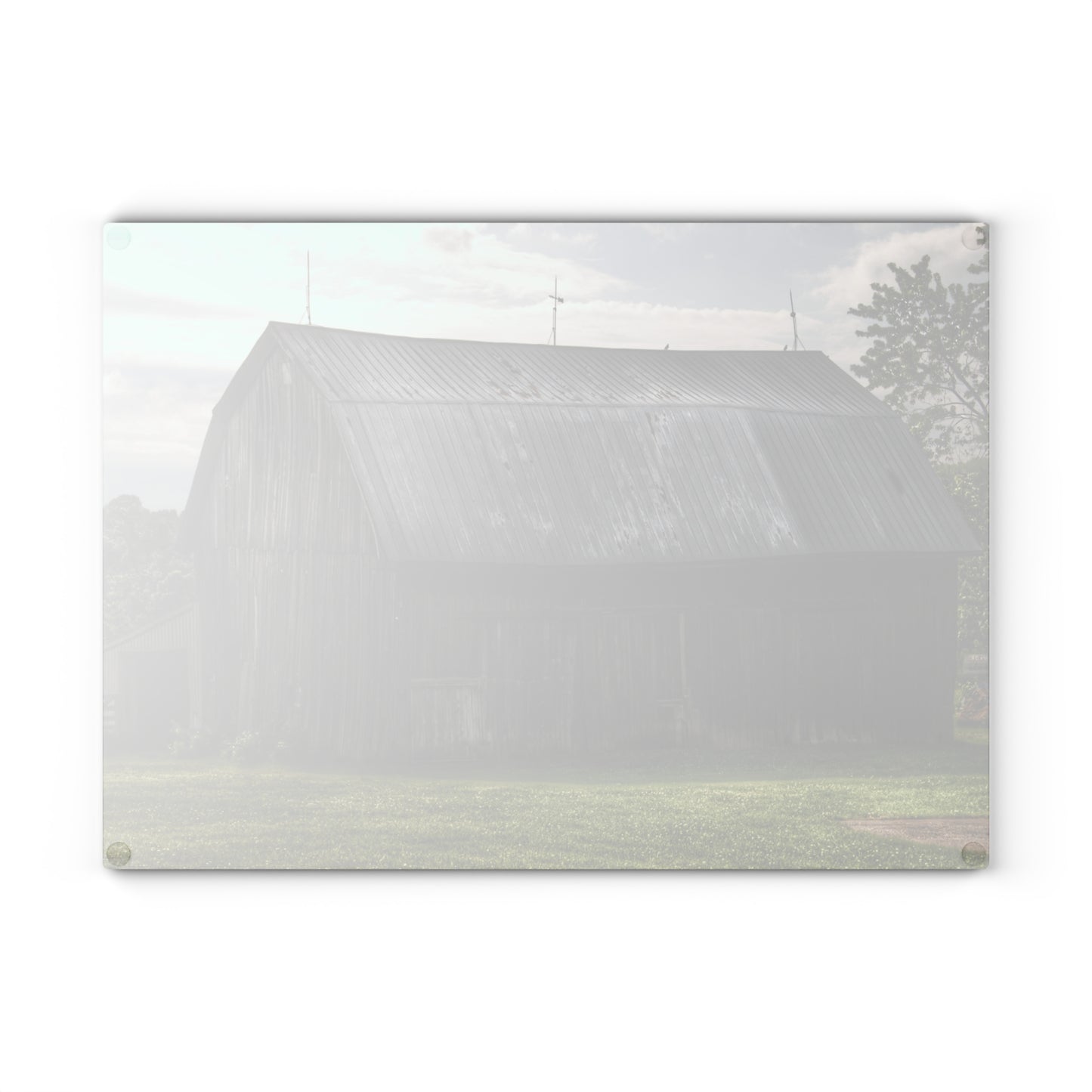 U R There Photography Rich Road Grey Rustic Farmhouse Tempered-Glass Cutting Board
