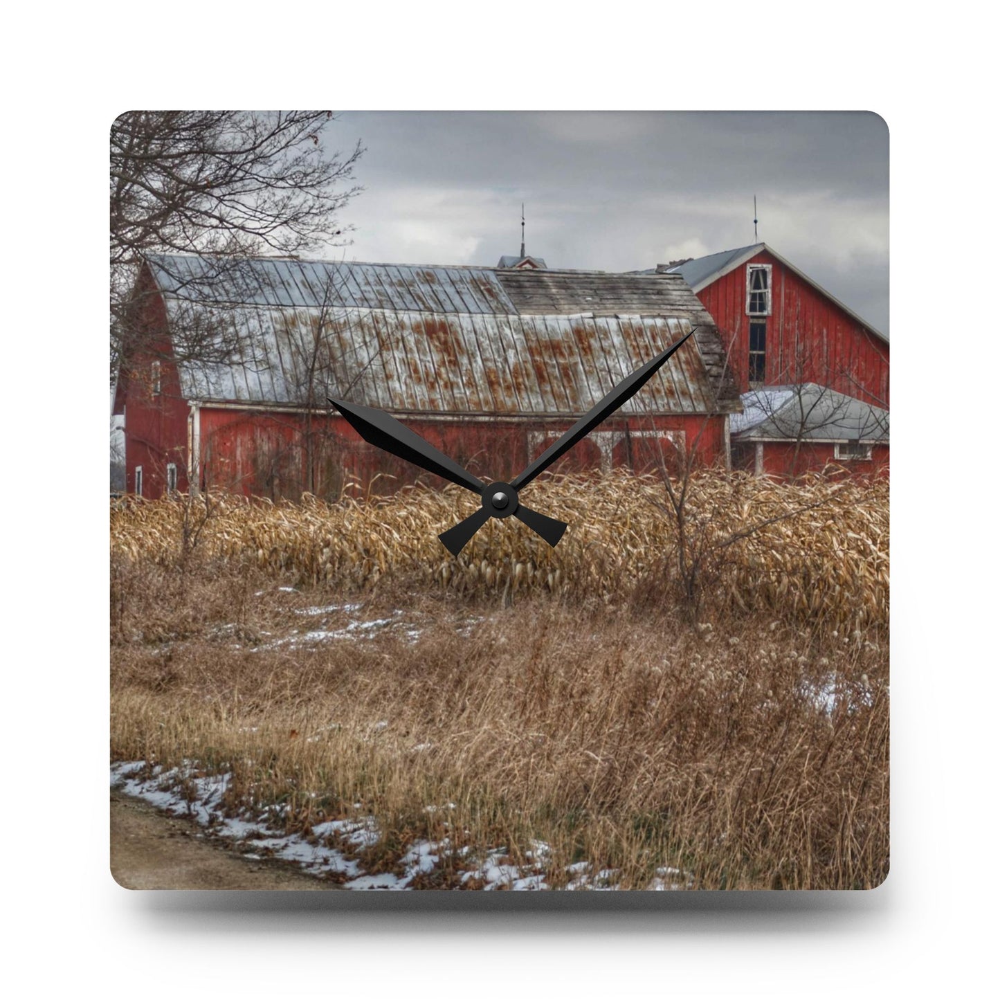 U R There Photography Edward Road Reds Rustic Farmhouse Acrylic Analog Wall Clock