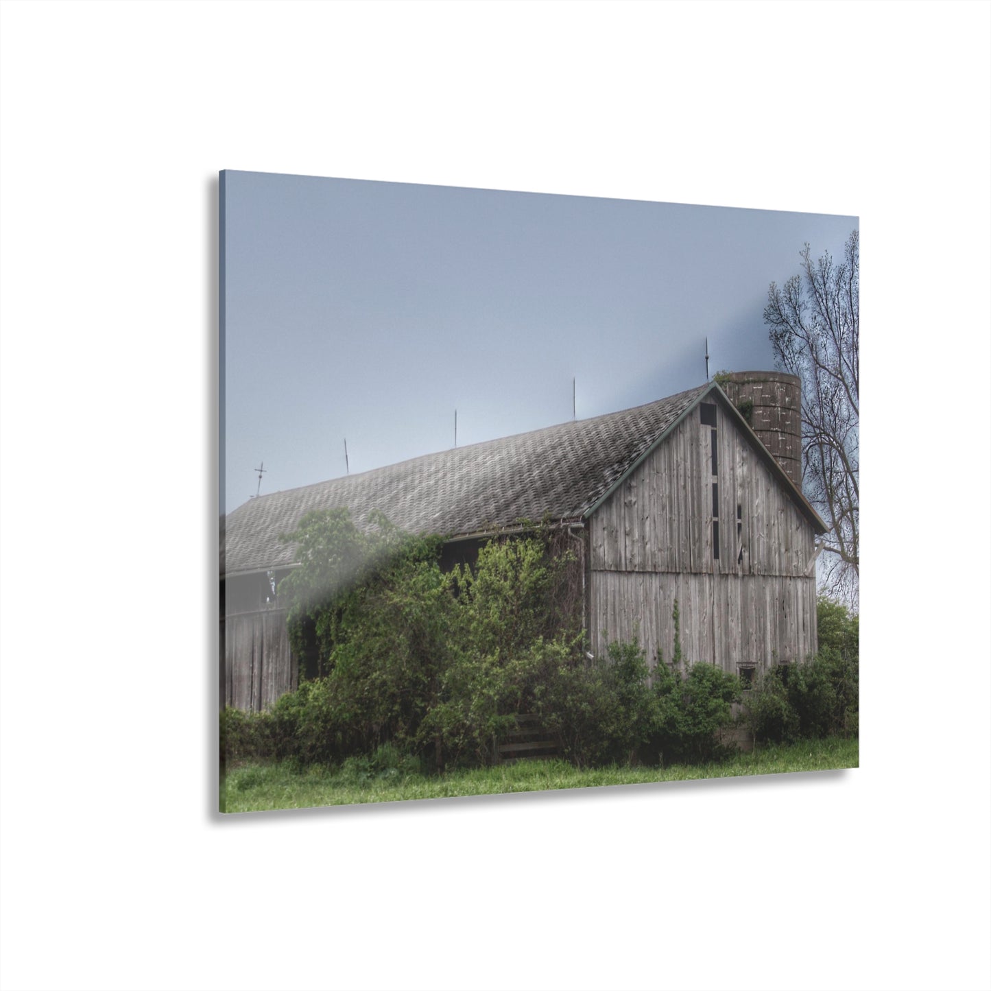 U R There Photography Wilder Road Grey I Rustic Farmhouse Acrylic Wall Print