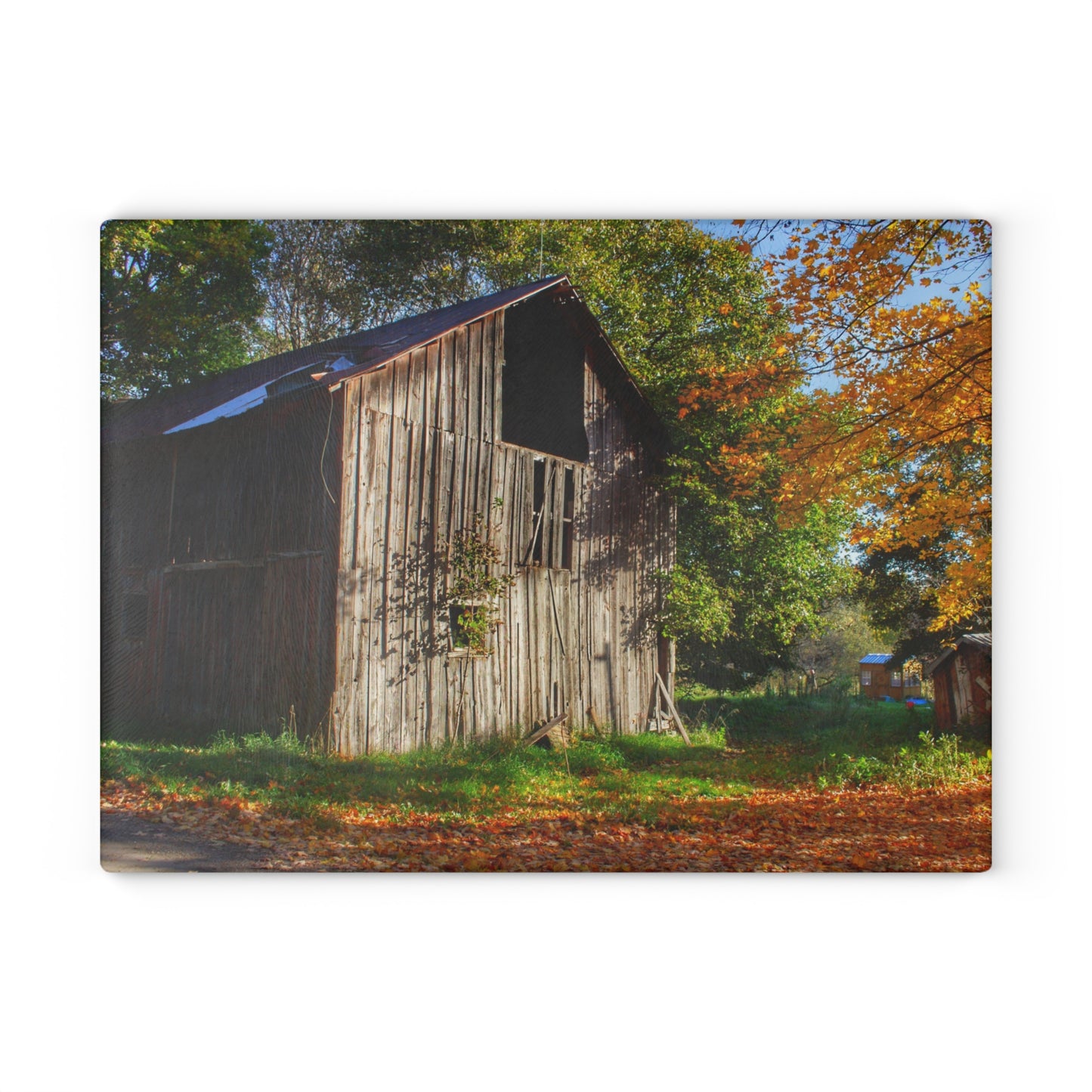 U R There Photography Shoemaker Road Hidden Grey Rustic Farmhouse Tempered-Glass Cutting Board