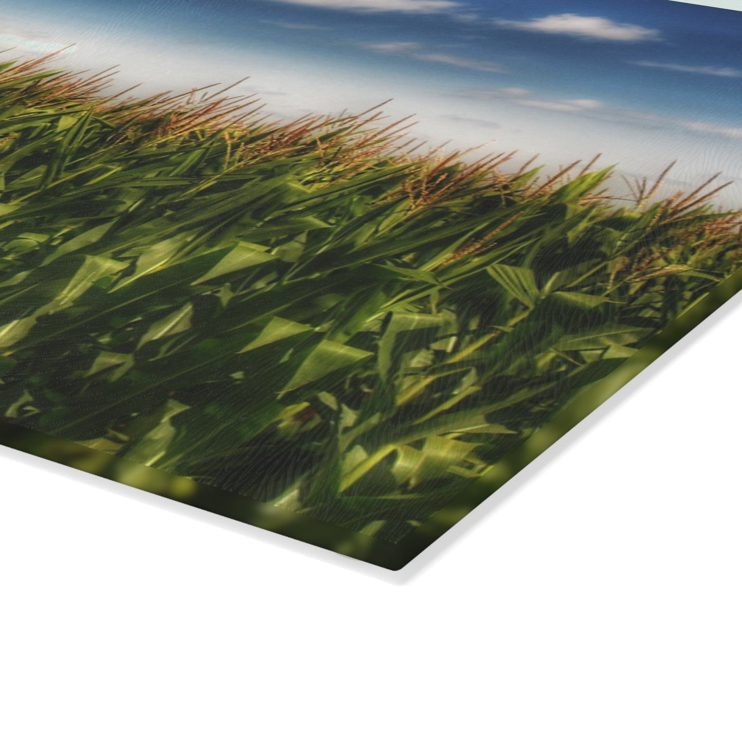 U R There Photography Sky-High Corn Rustic Farmhouse Tempered-Glass Cutting Board