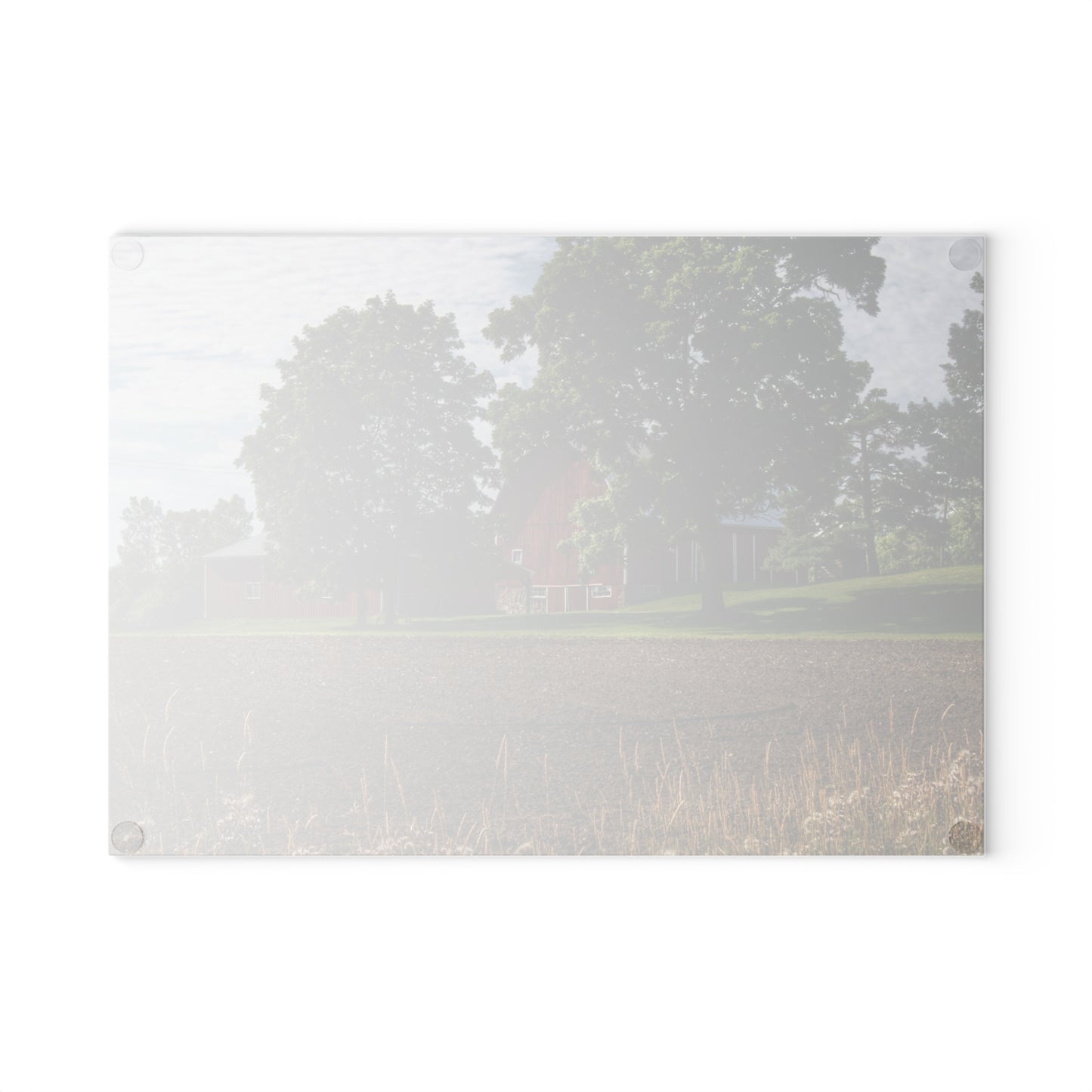 U R There Photography Catlin Road Red II Rustic Farmhouse Tempered-Glass Cutting Board