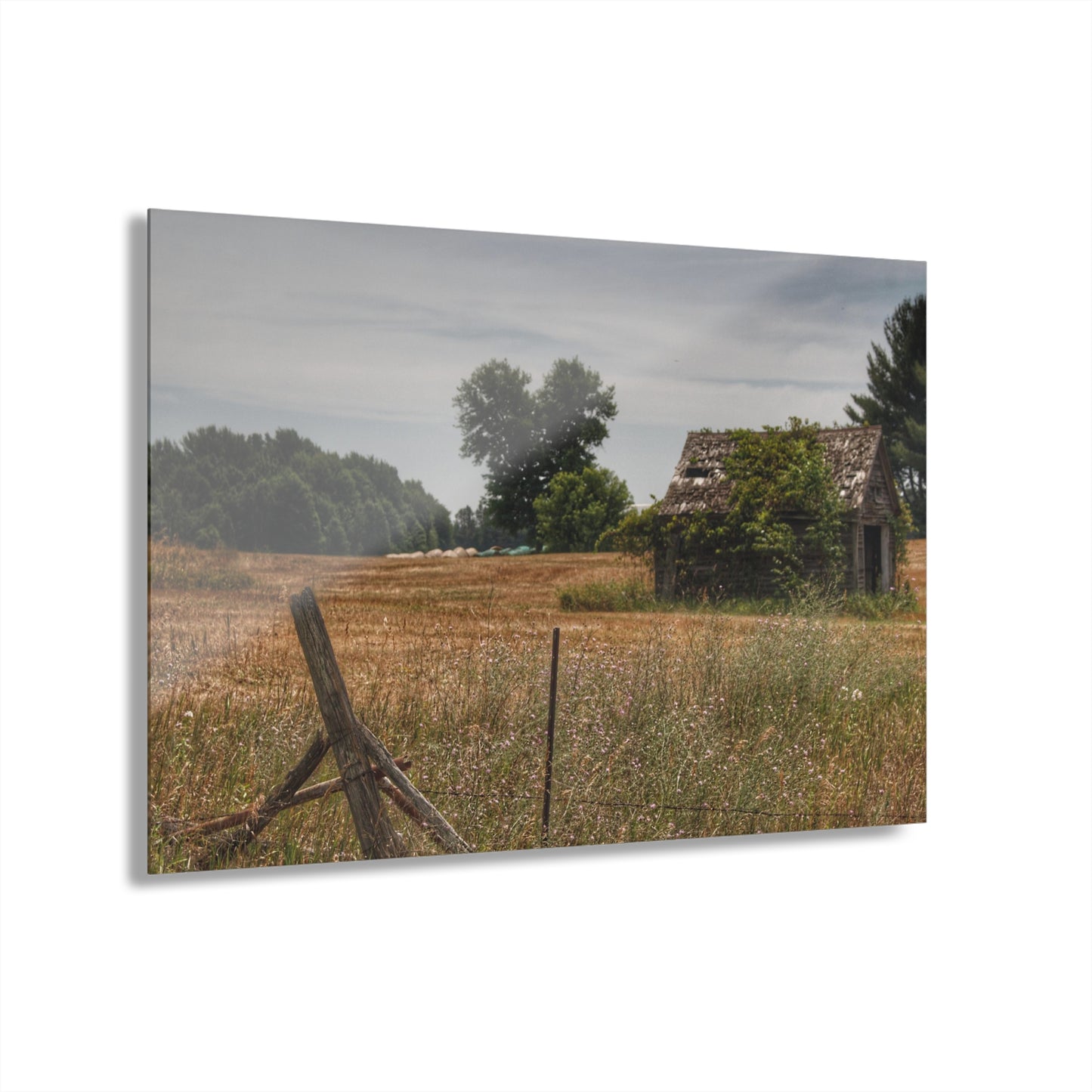 U R There Photography U R There Photography Waterman Road Shack Beyond the Fence Rustic Farmhouse Acrylic Wall Print