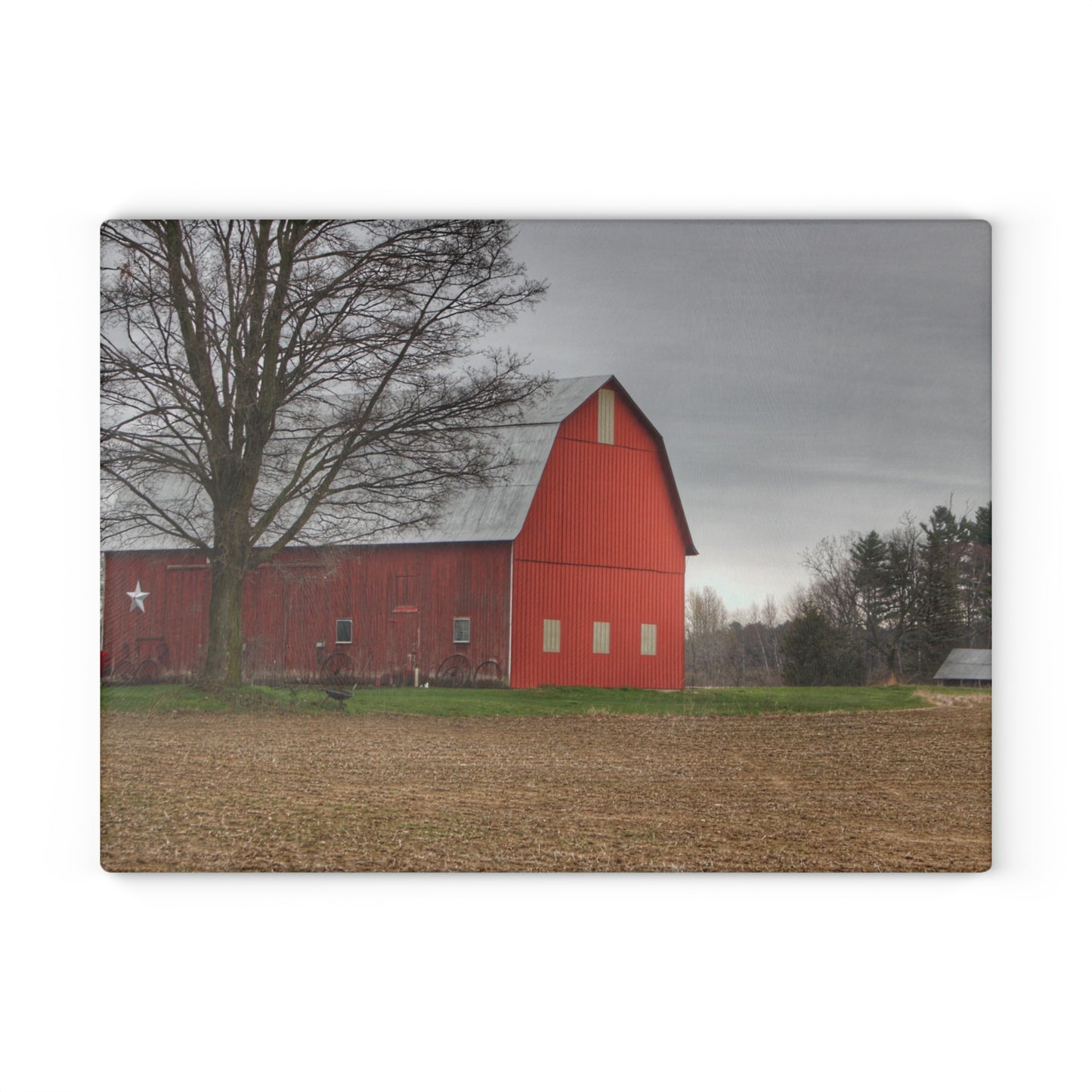 U R There Photography South Summers Road Star Barn Rustic Farmhouse Tempered-Glass Cutting Board