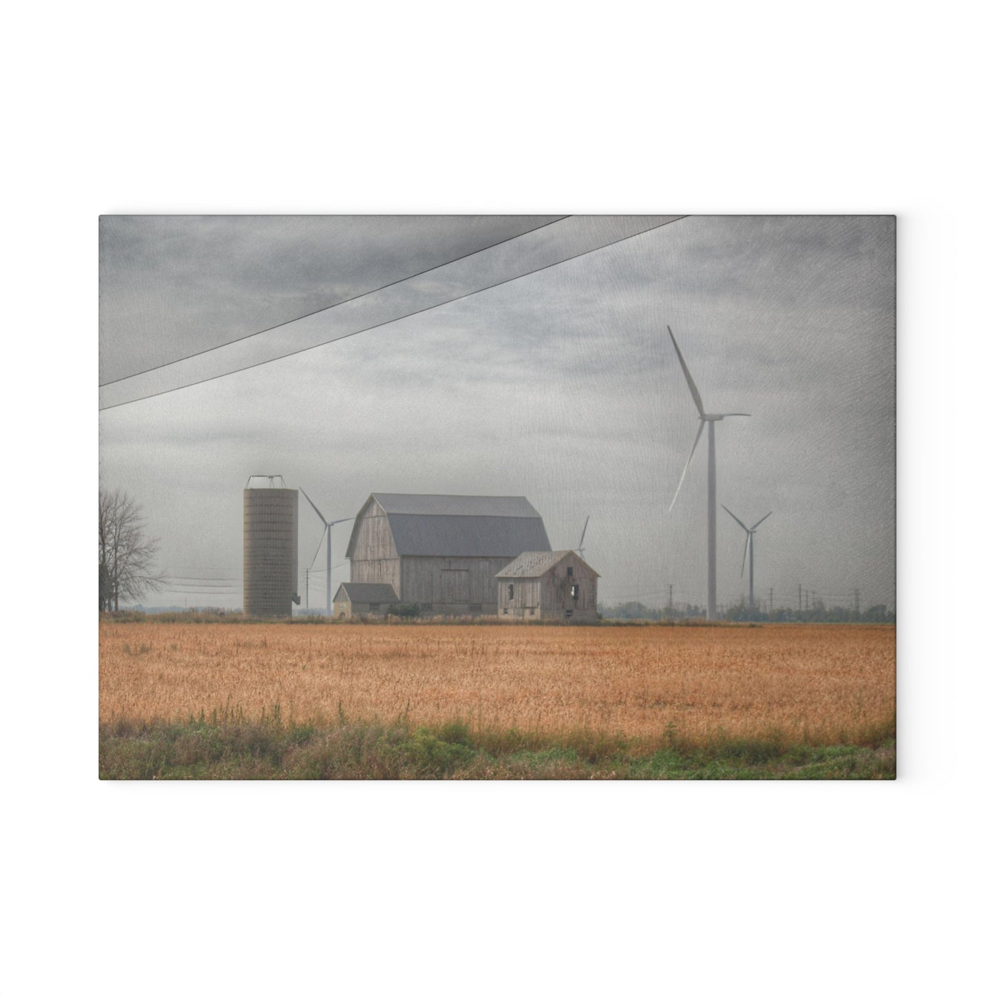 U R There Photography Pinabog Greys Rustic Farmhouse Tempered-Glass Cutting Board