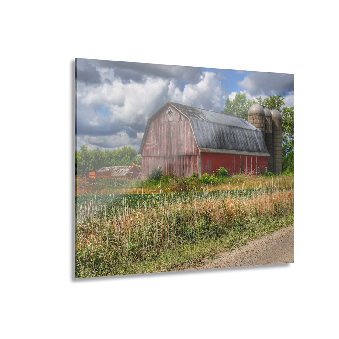 U R There Photography Shelby Red III Rustic Farmhouse Acrylic Wall Print