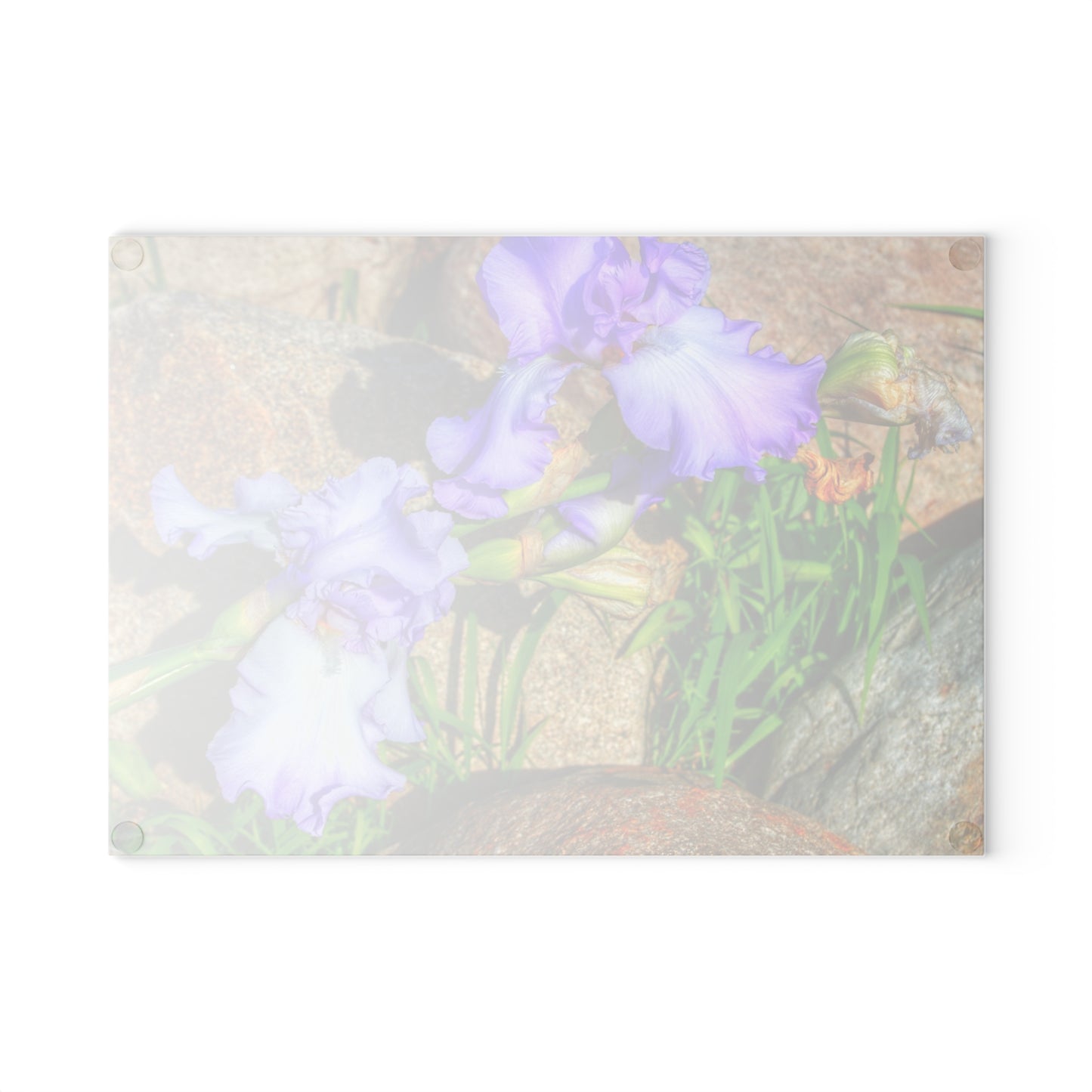 U R There Photography Saint Hugos Iris Rustic Farmhouse Tempered-Glass Cutting Board