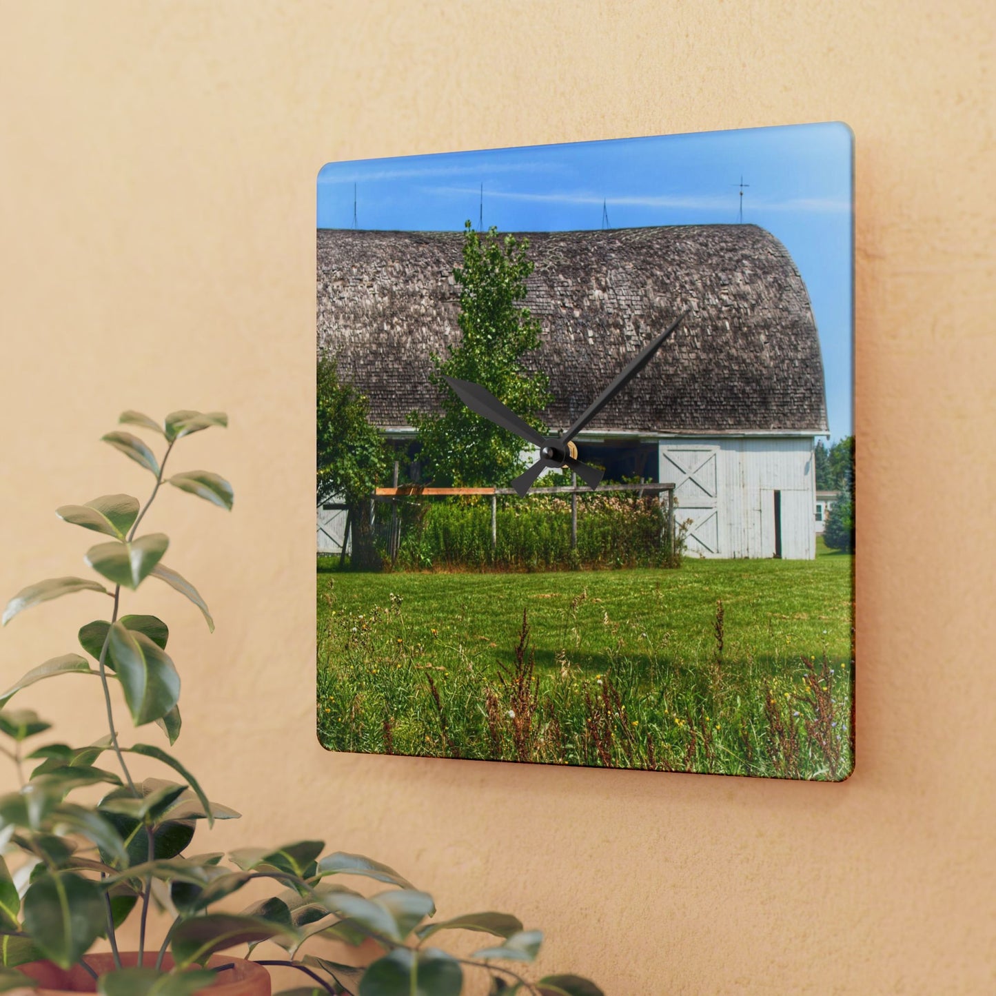 U R There Photography Country White Rustic Farmhouse Acrylic Analog Wall Clock