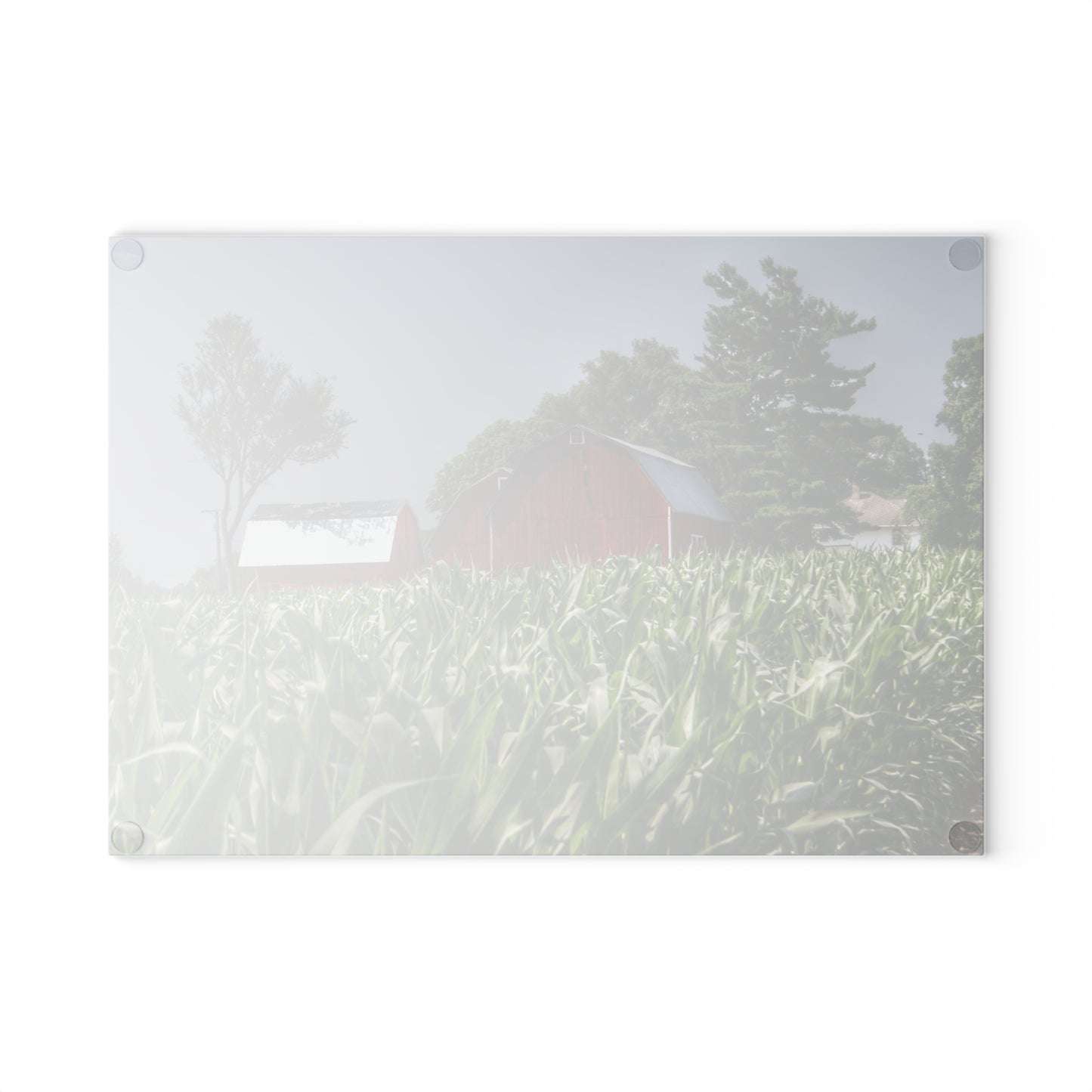 U R There Photography Shoemaker Reds Rustic Farmhouse Tempered-Glass Cutting Board