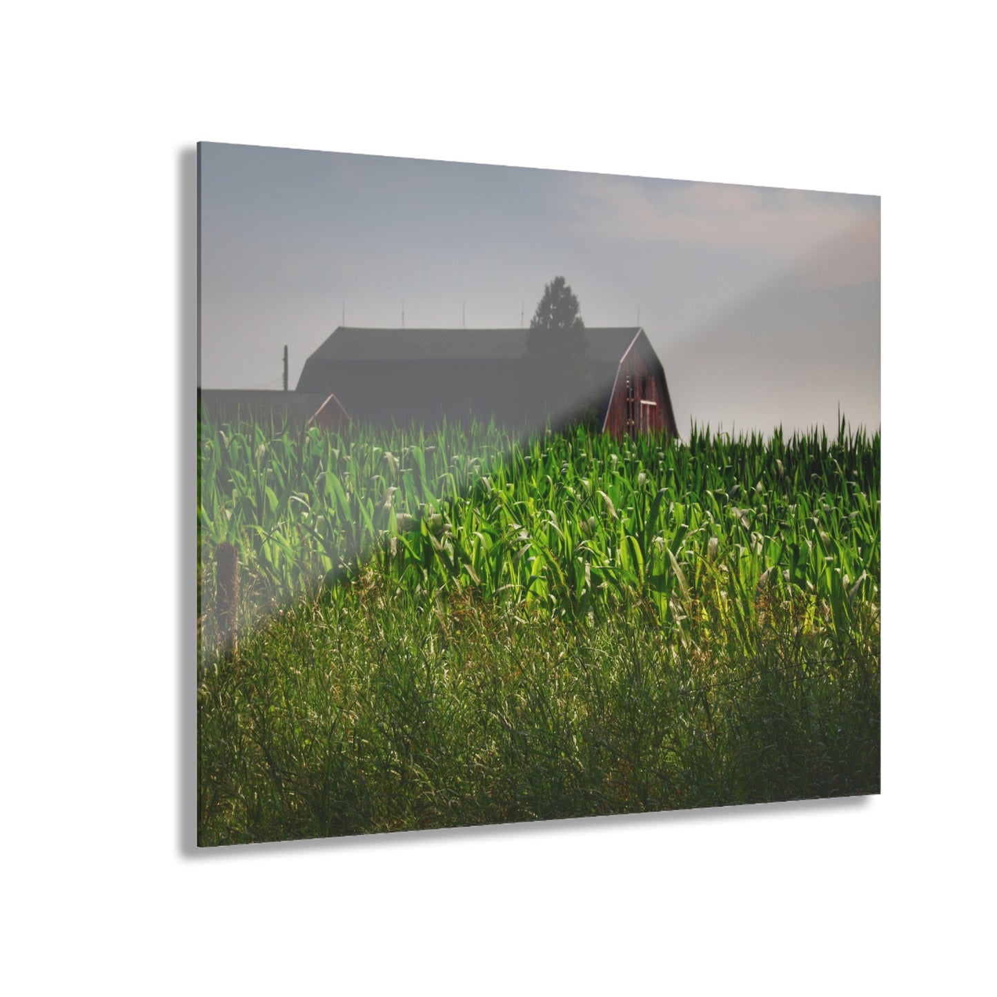 U R There Photography Beyond the Corn in Metamora Rustic Farmhouse Acrylic Wall Print