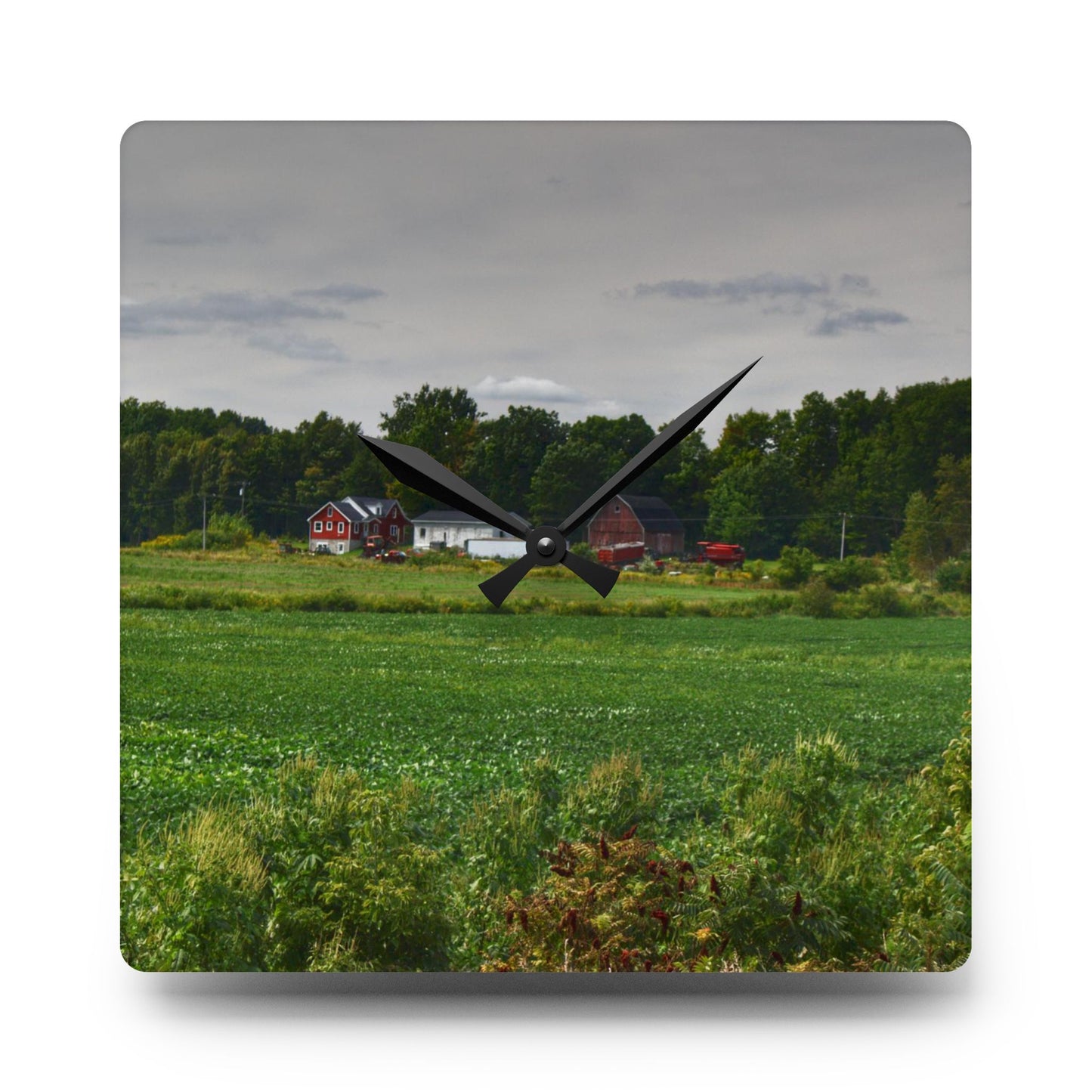 Rustic Farmhouse Wall Clock featuring Across the Field in Silverwood