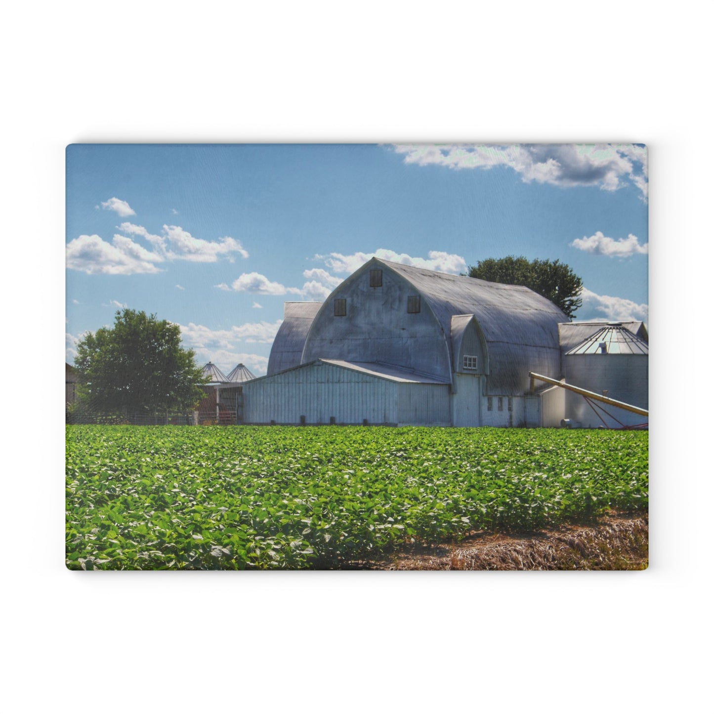 U R There Photography Canada Road White Rustic Farmhouse Tempered-Glass Cutting Board