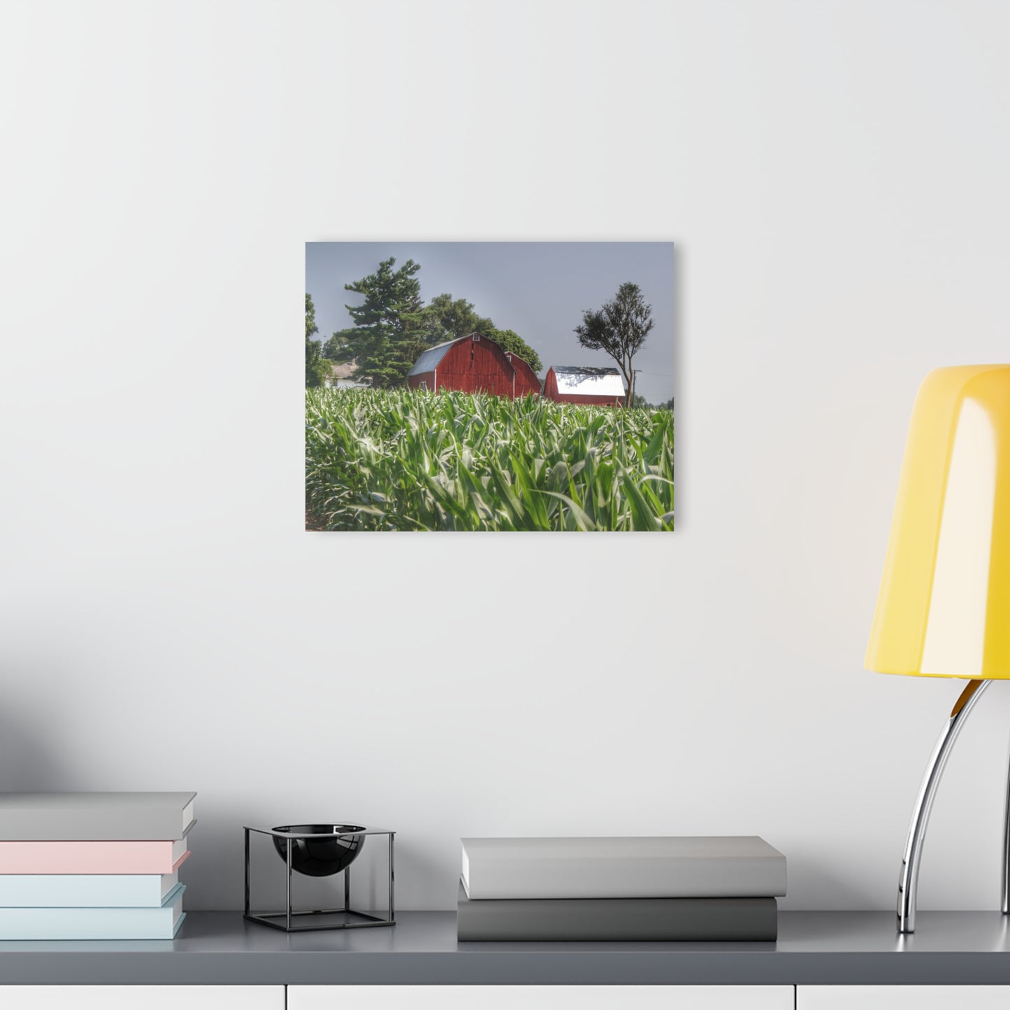 U R There Photography Shoemaker Reds Rustic Farmhouse Acrylic Wall Print