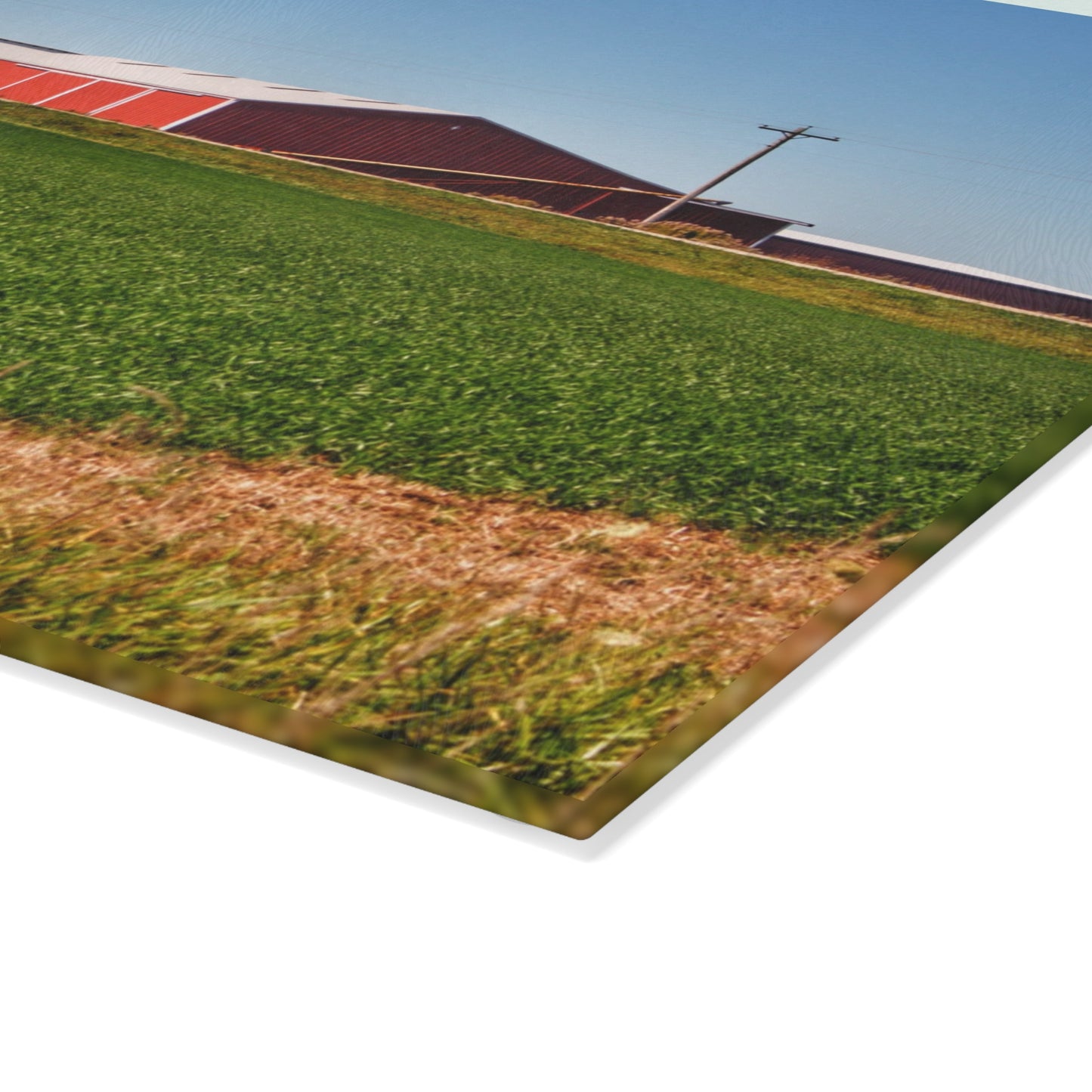 U R There Photography Pattison Road Farm Across the Field II Rustic Farmhouse Tempered-Glass Cutting Board