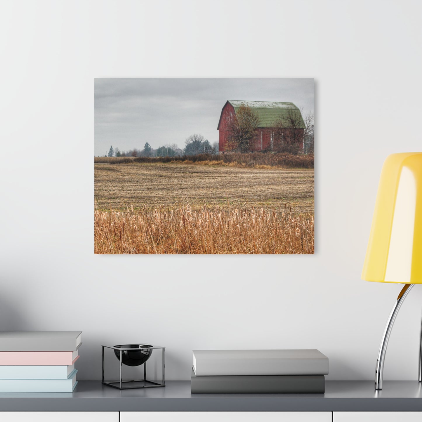 U R There Photography Bowers Road Red IV Rustic Farmhouse Acrylic Wall Print
