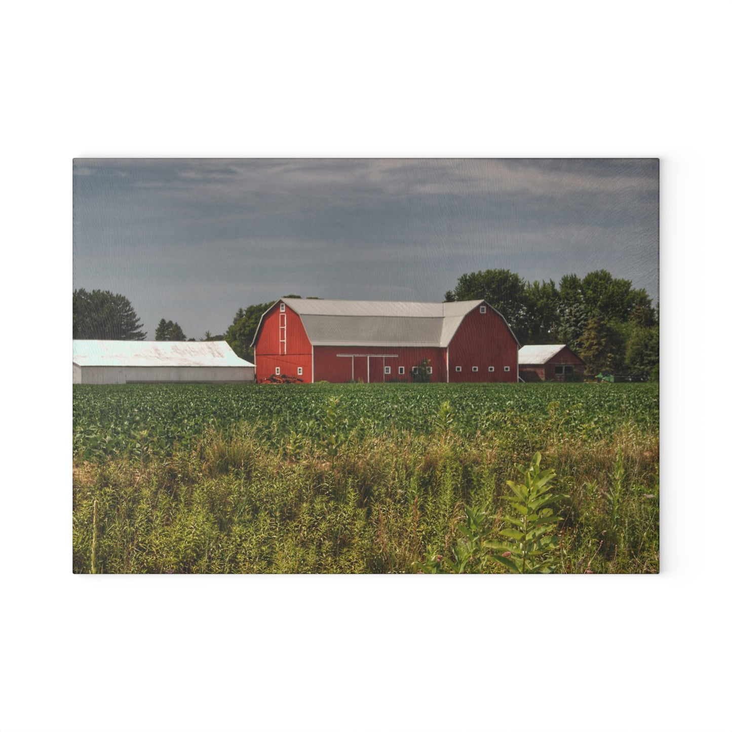 U R There Photography Townline Road Red Rustic Farmhouse Tempered-Glass Cutting Board