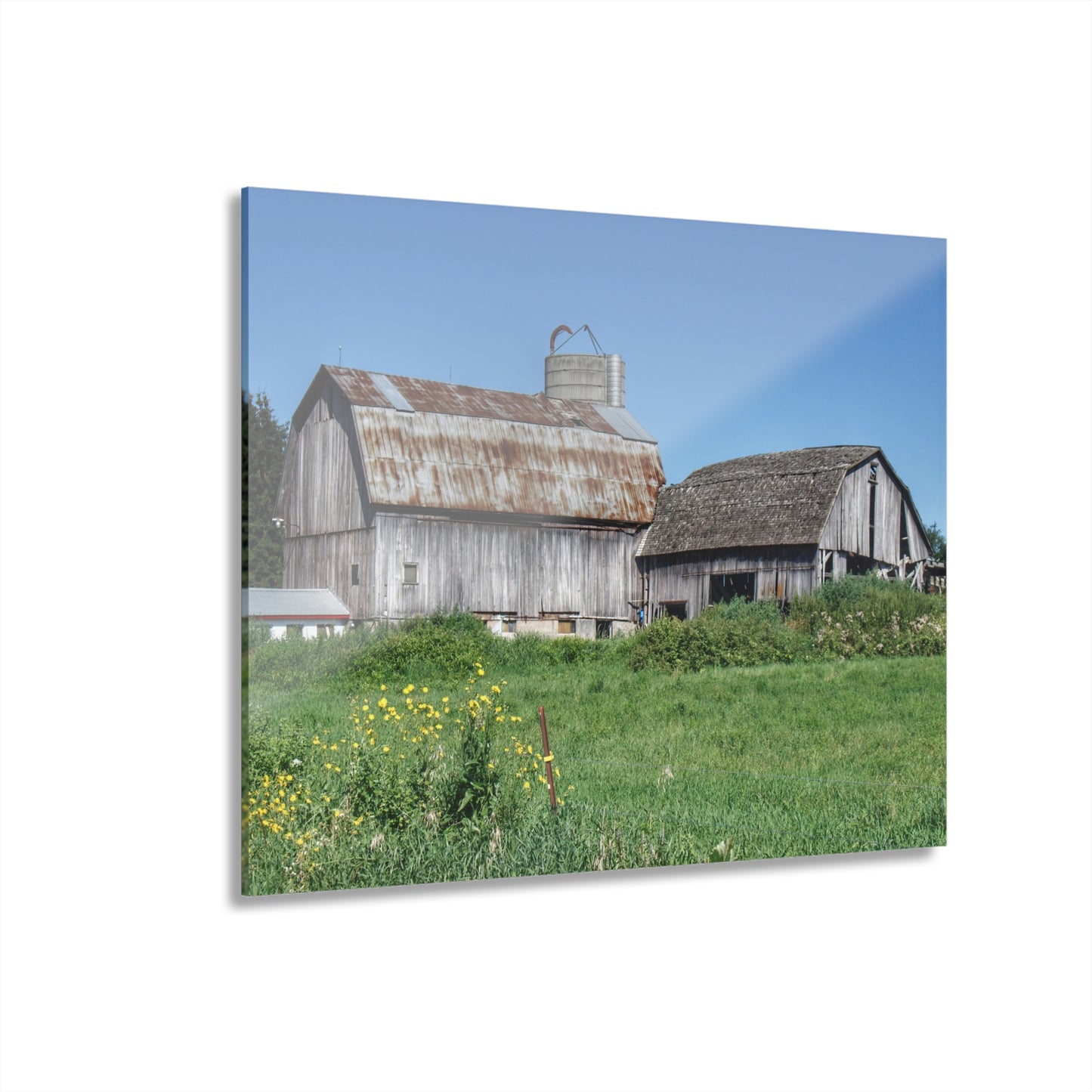 U R There Photography Rusted and Grey on Dodge Road Rustic Farmhouse Acrylic Wall Print