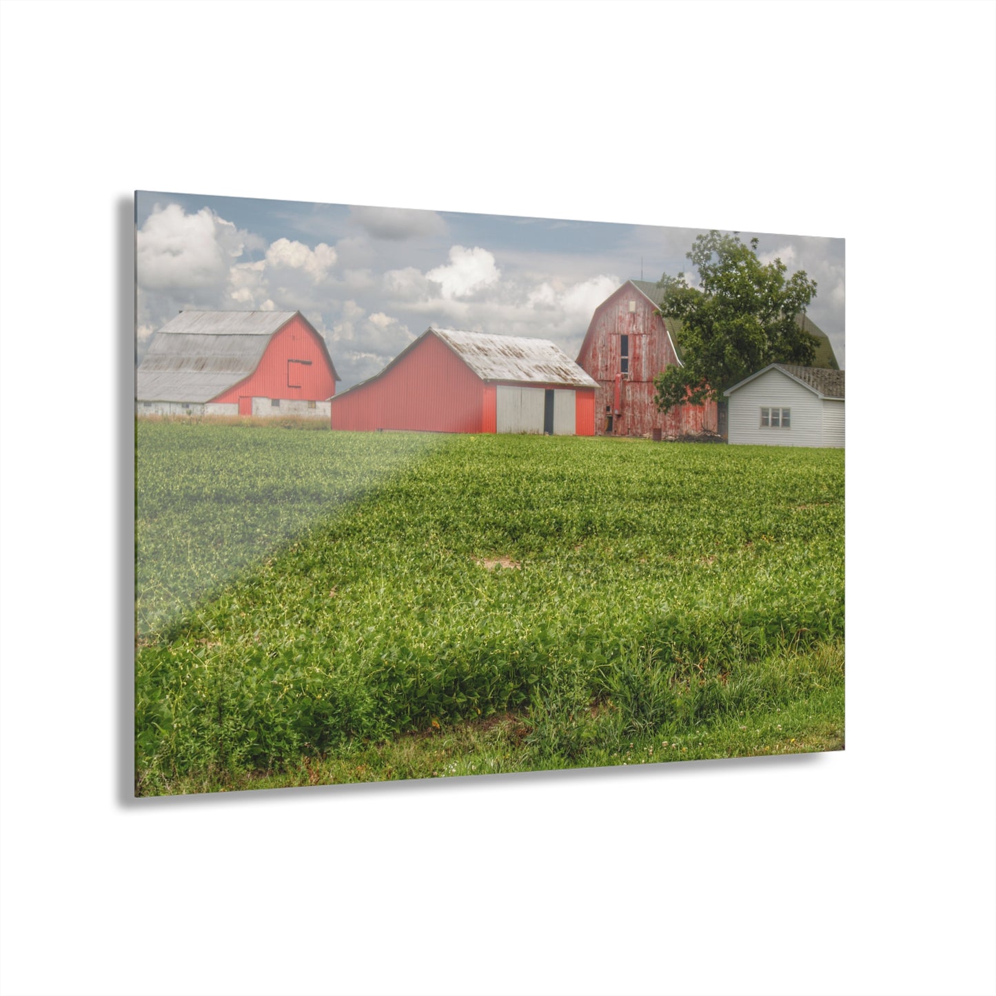 U R There Photography Roadside Trio Rustic Farmhouse Acrylic Wall Print