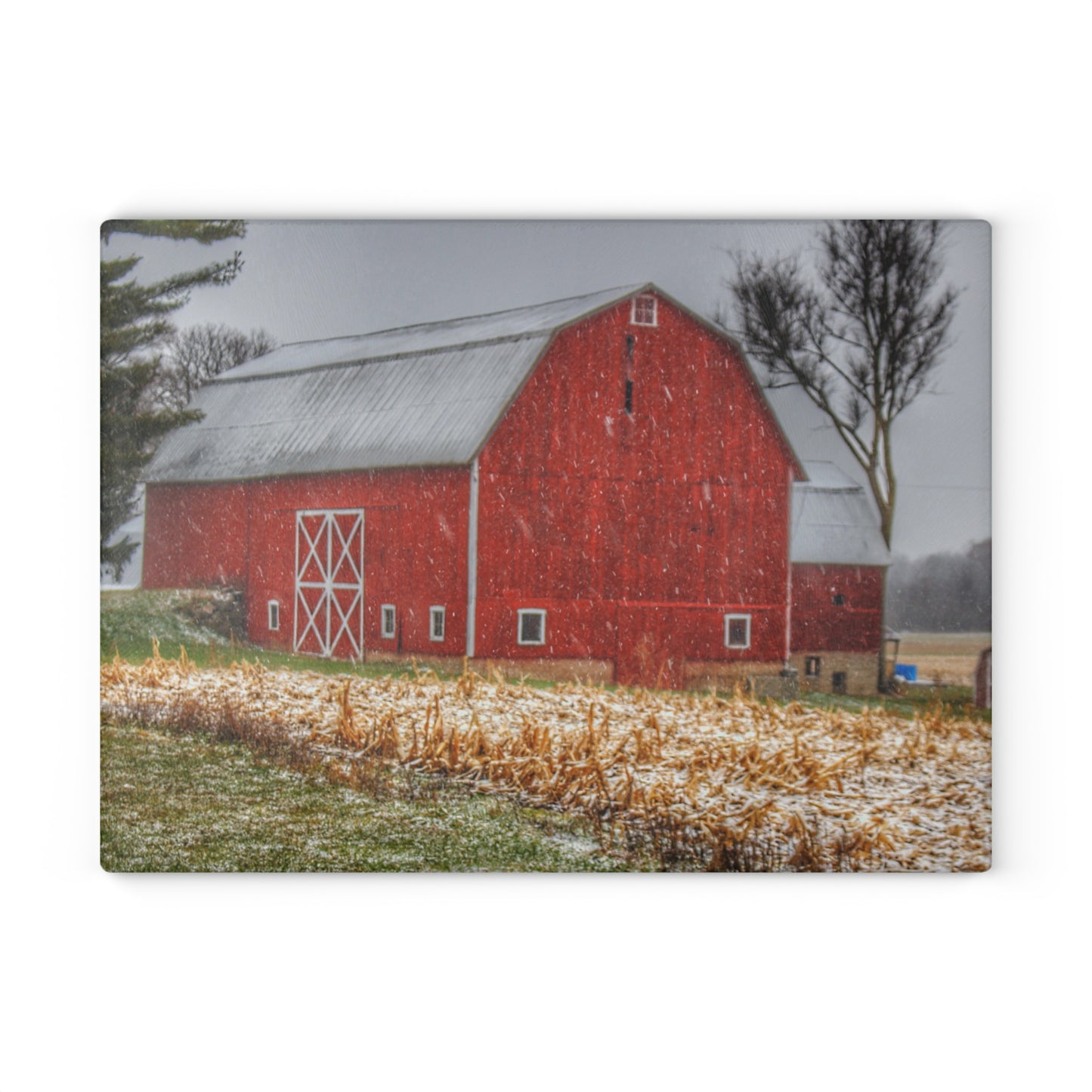 U R There Photography Shoemaker Road Winter Reds I Rustic Farmhouse Tempered-Glass Cutting Board