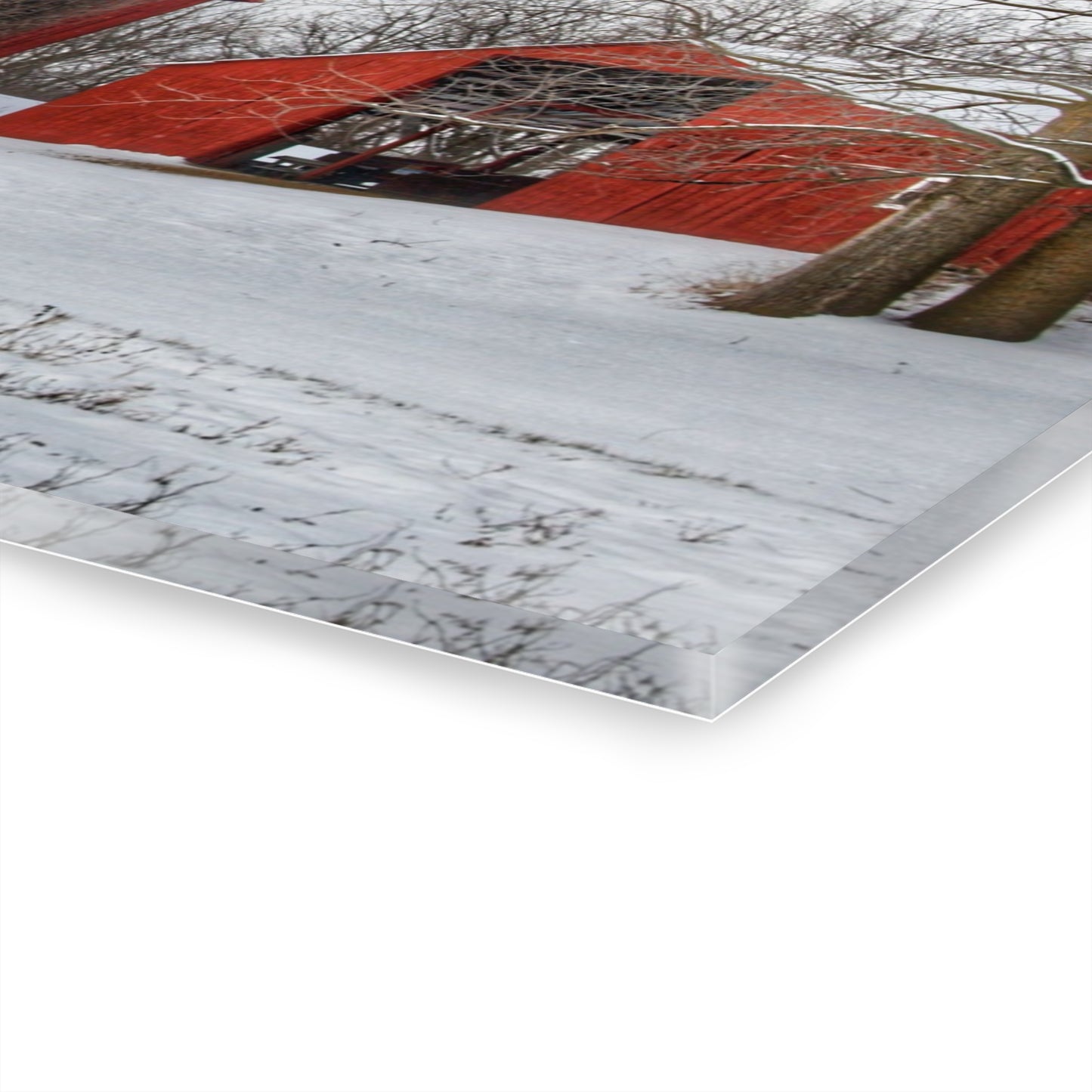 U R There Photography Catlin Reds in Winter I Rustic Farmhouse Acrylic Wall Print