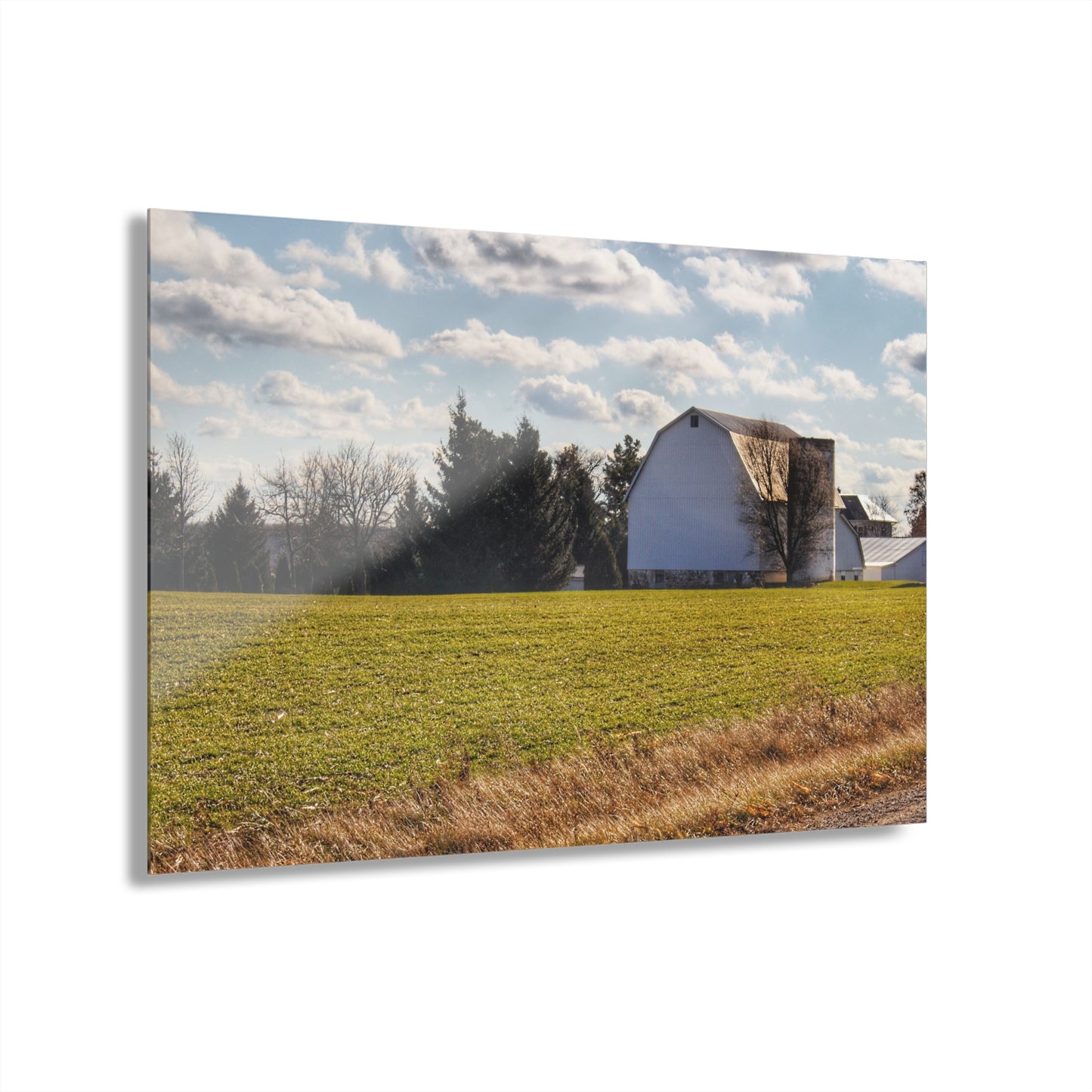 U R There Photography Sandusky White Rustic Farmhouse Acrylic Wall Print