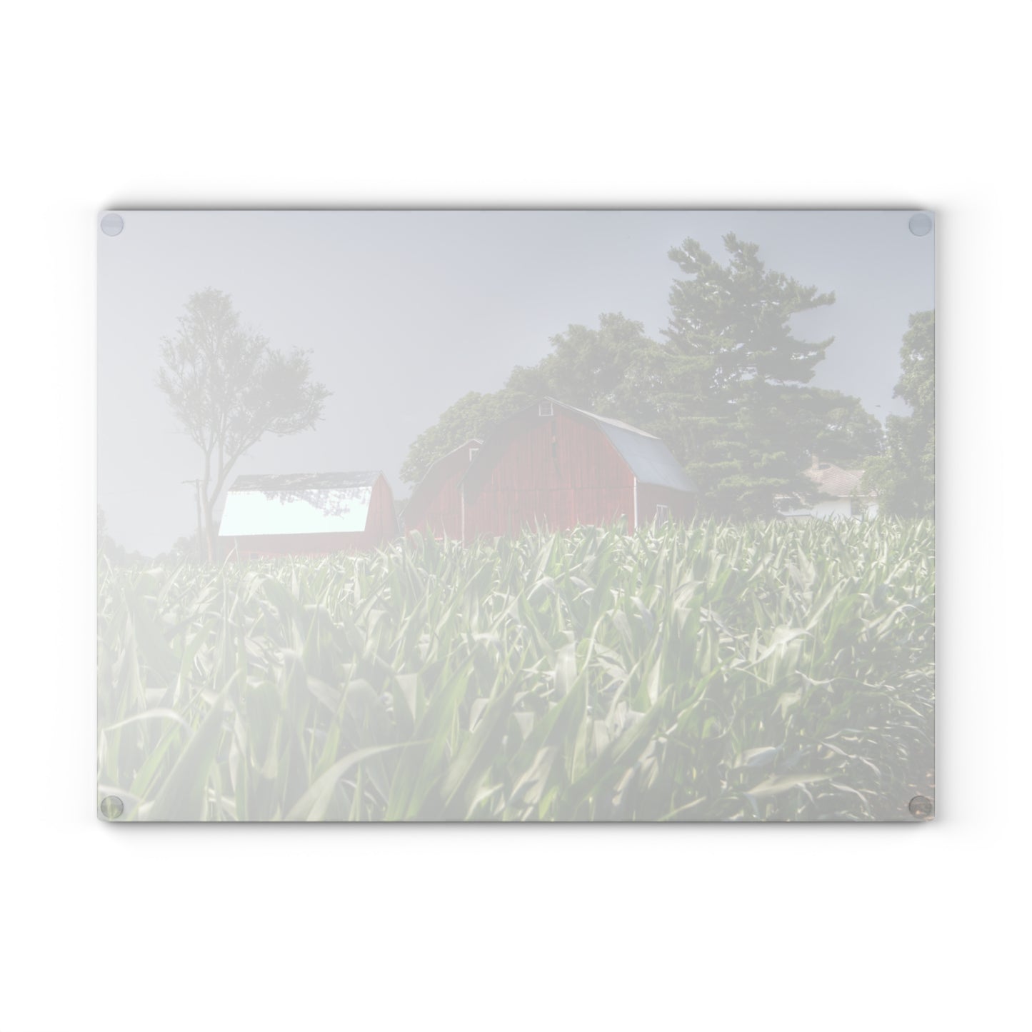 U R There Photography Shoemaker Reds Rustic Farmhouse Tempered-Glass Cutting Board